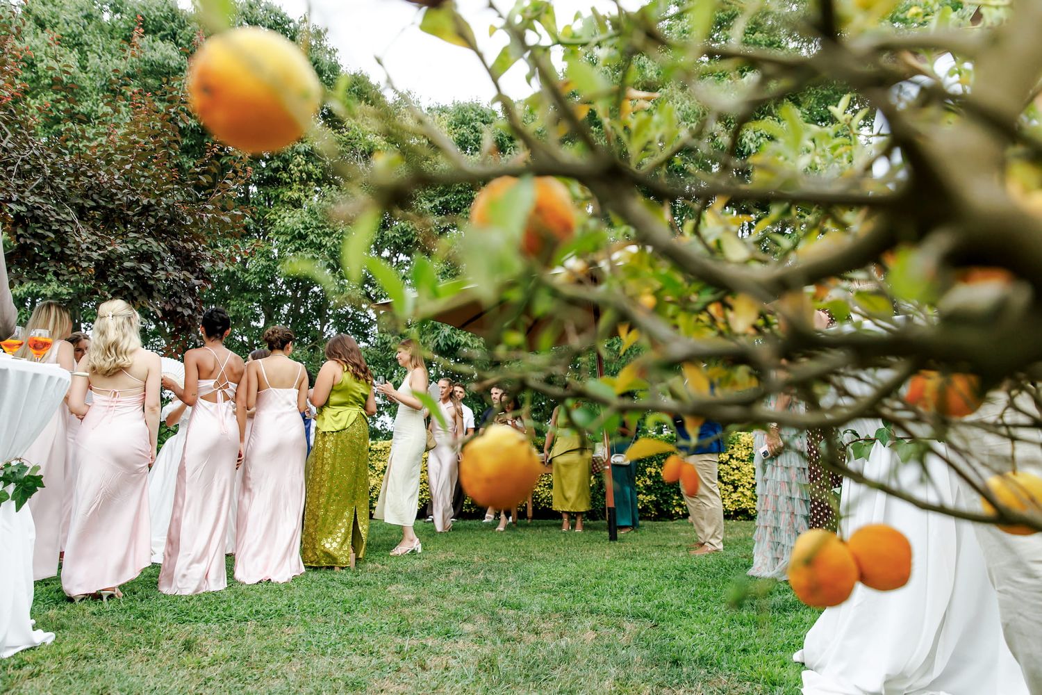 Bridesmaids in pink dresses stand in a lush garden framed by orange citrus tree branches at a wedding.