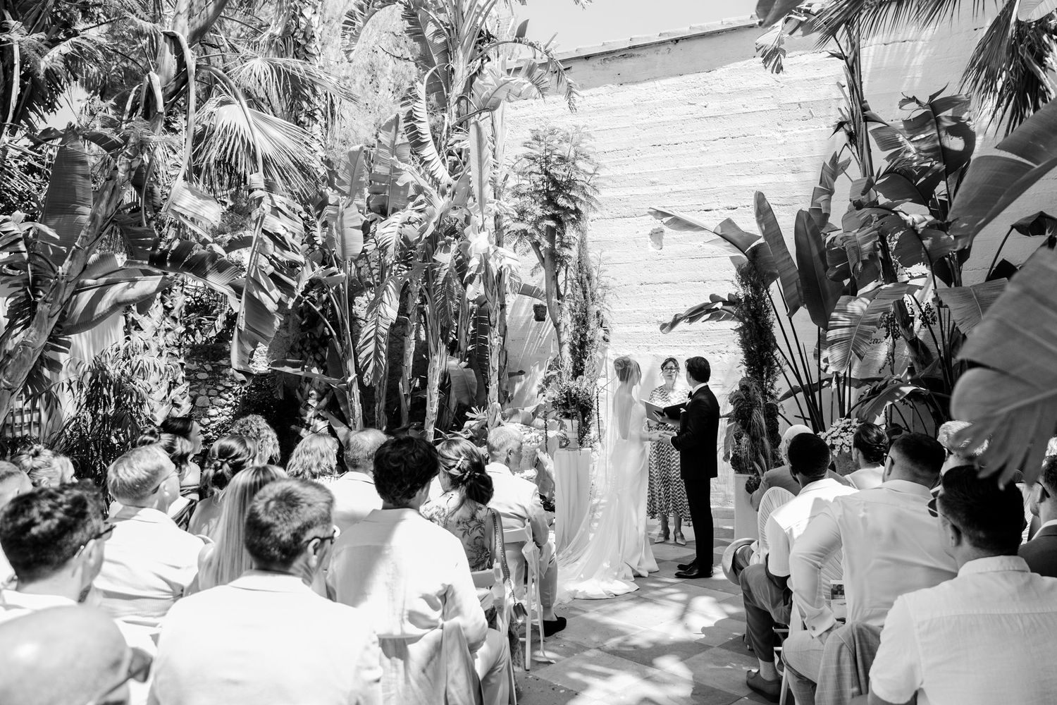 Black and white outdoor wedding ceremony with guests seated among lush tropical plants.