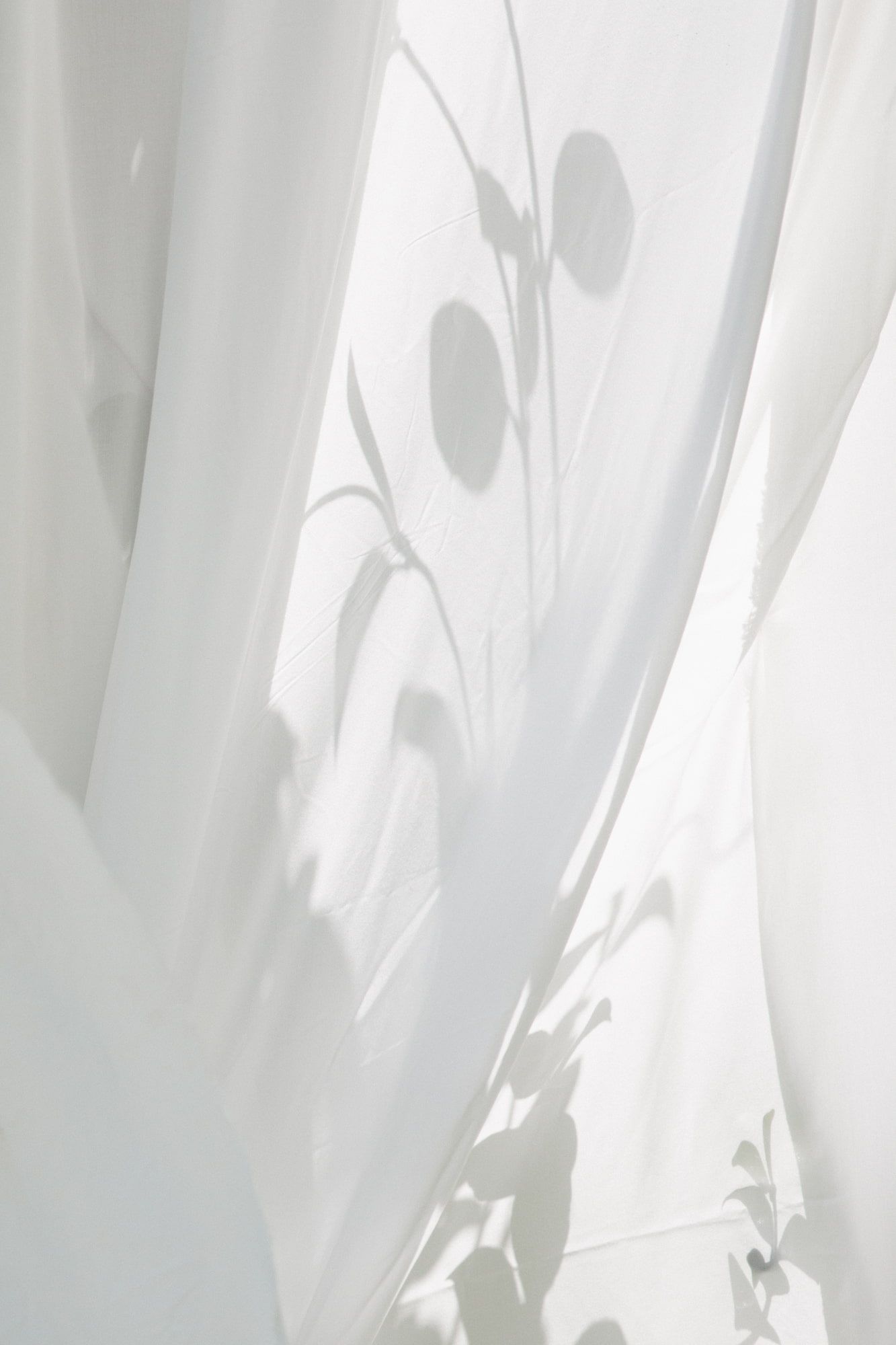 Soft white sheer curtain with delicate plant shadows creating an elegant, ethereal botanical silhouette pattern in natural light.