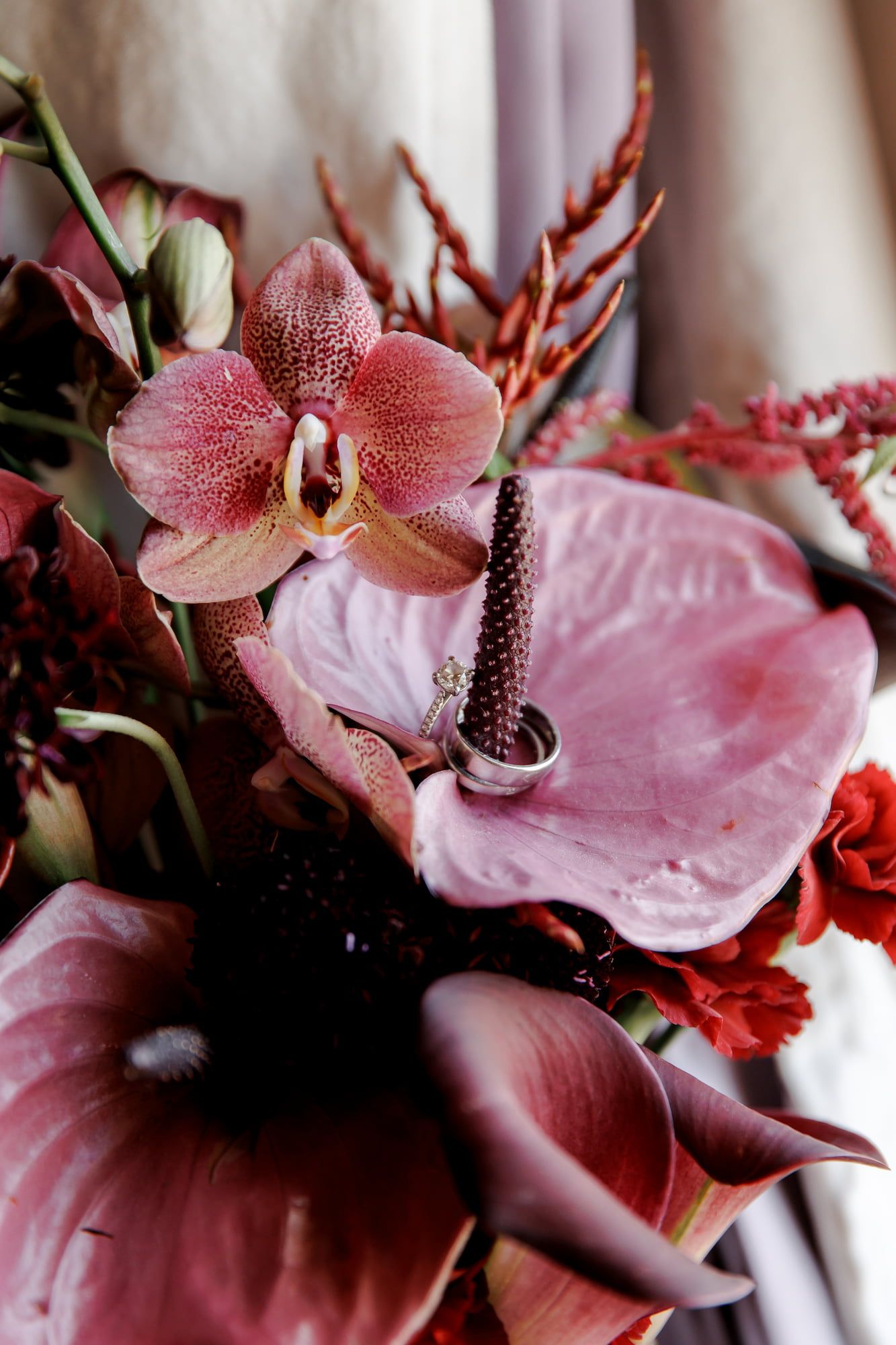 Pink orchid and anthurium wedding bouquet with gold rings nestled among deep red flowers and greenery.