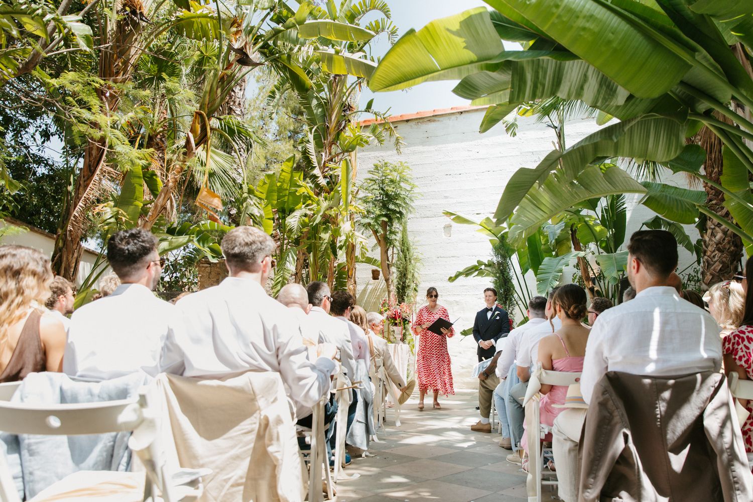Outdoor wedding ceremony aisle lined with white chairs and lush tropical plants under bright sunlight.