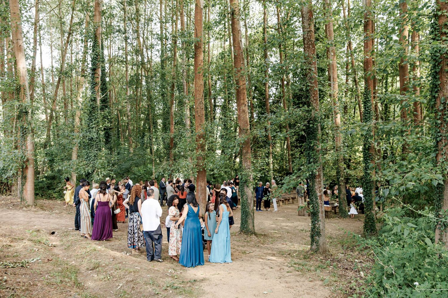 Wedding guests gathered among tall pine trees in a forest clearing for an outdoor woodland ceremony.