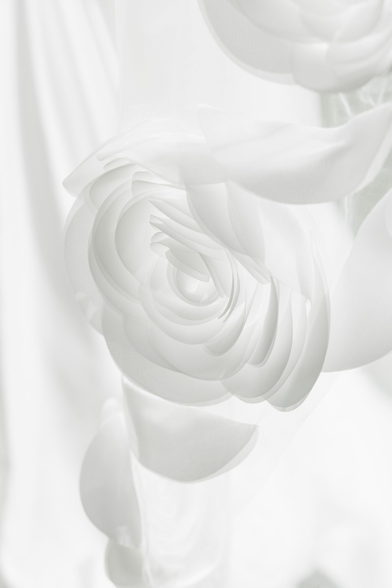 White fabric roses with soft folds and elegant swirls on a white background, perfect for wedding or bridal decor.