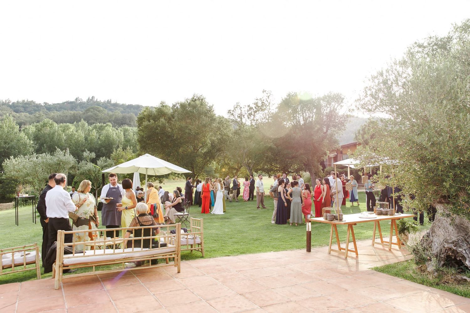 Outdoor wedding cocktail hour on a green lawn with guests mingling among wooden benches and trees.