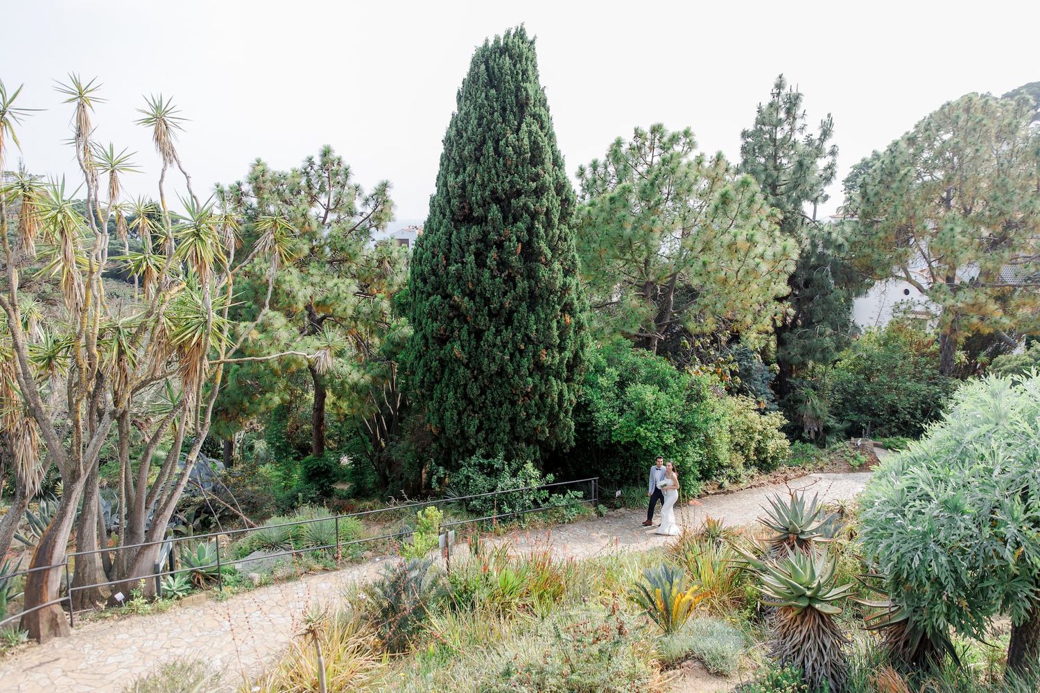 A scenic path winds through a lush garden with tall cypress trees and diverse vegetation on a sunny day.