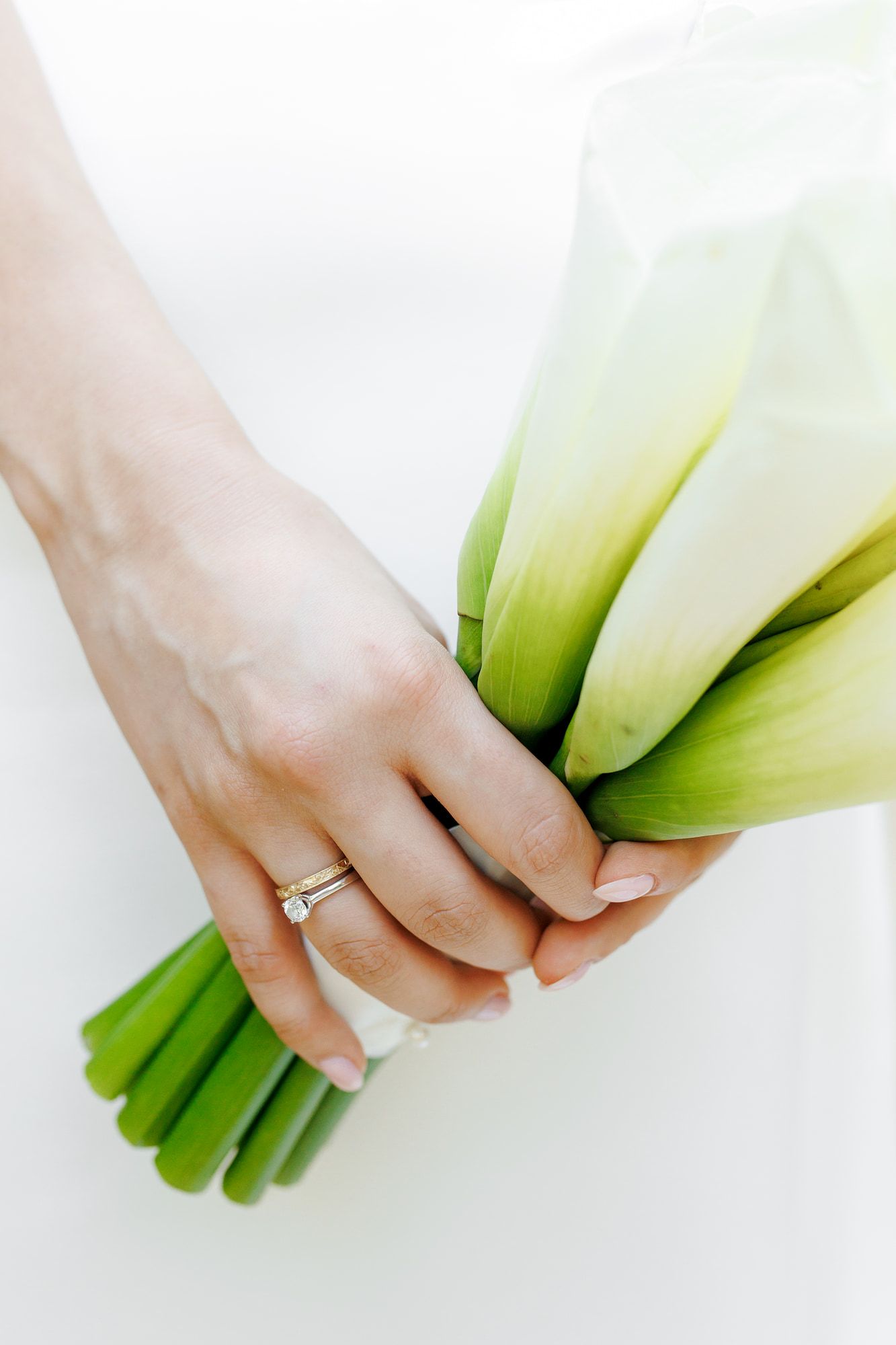 Hands holding and arranging fresh green and white leeks in a row against a white background.