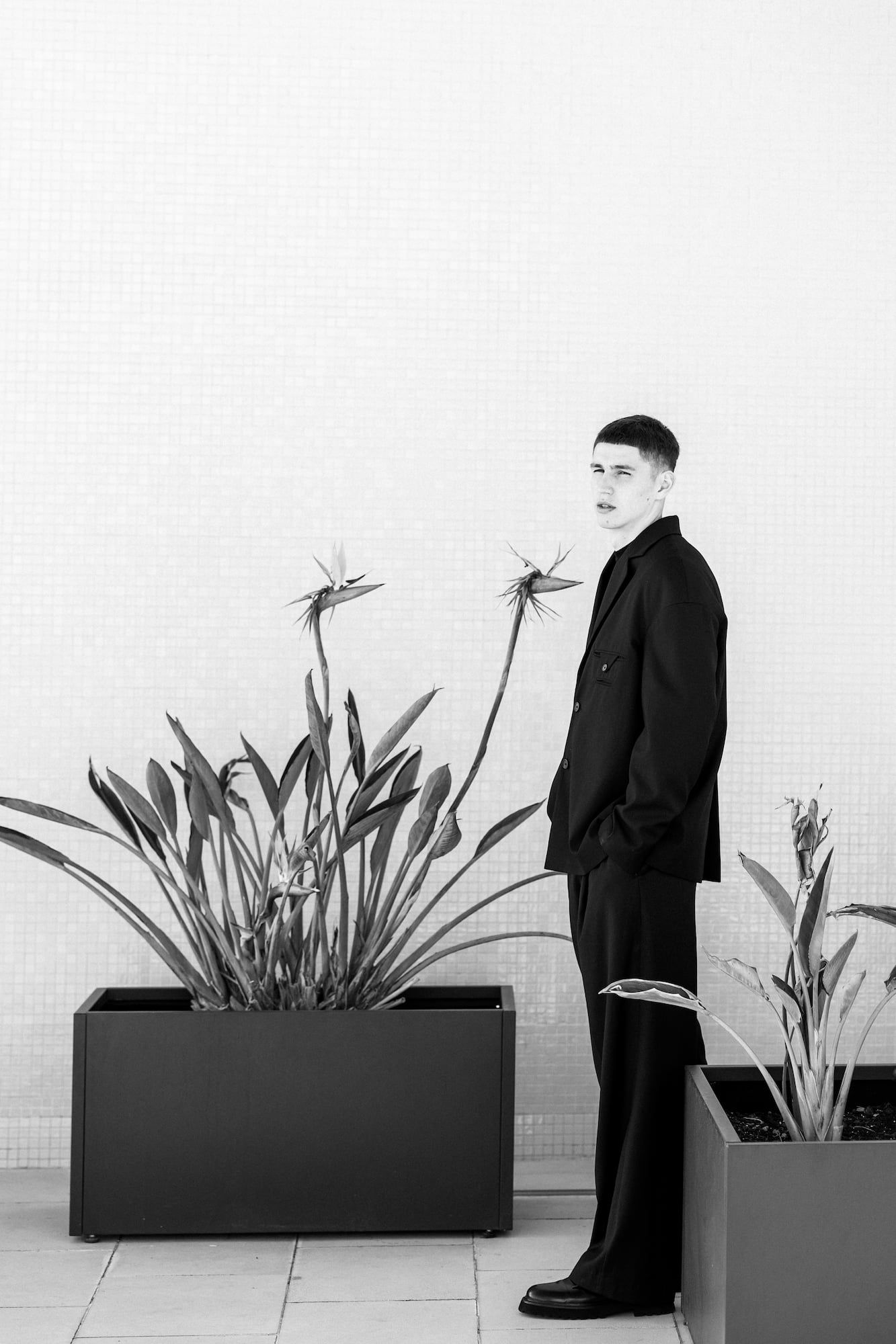 Groom in a black oversized suit standing between large planters with bird of paradise plants, black and white photo.