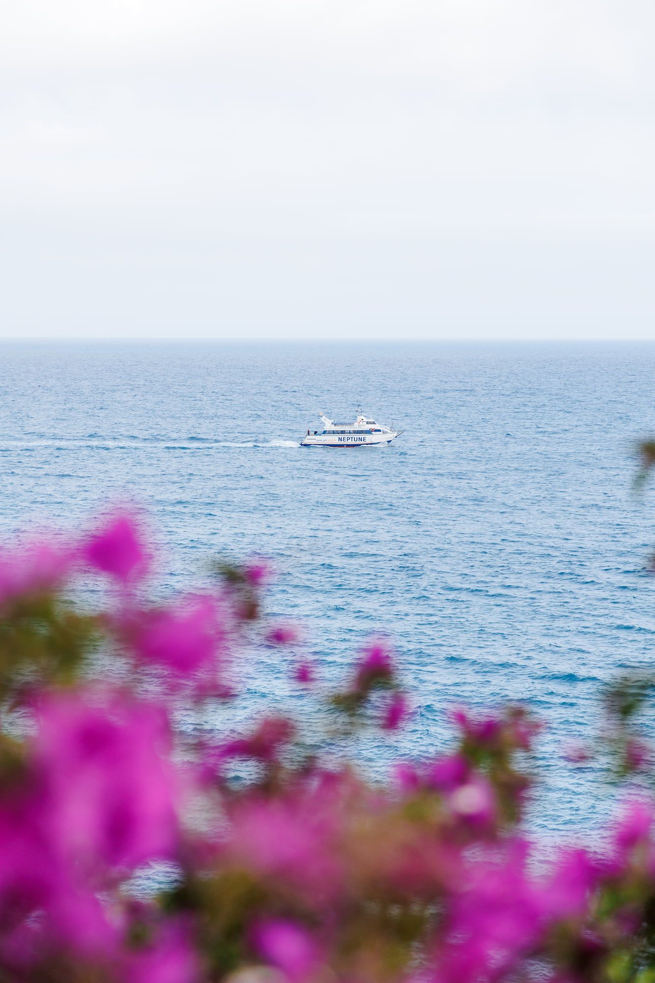 Blue water of the sea with a yacht and purple flowers