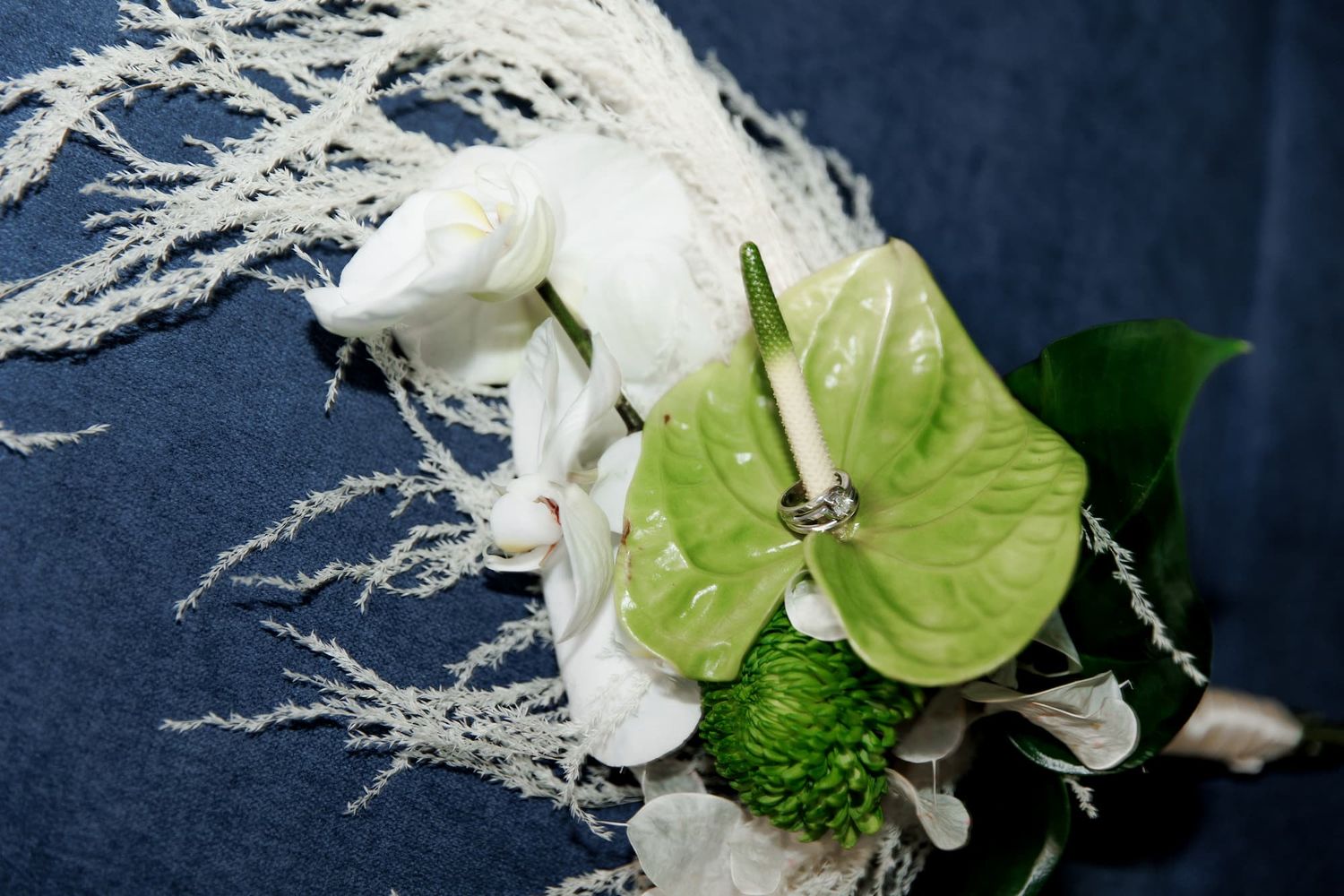 White roses and green anthurium flowers are arranged in a modern floral composition against a dark background.