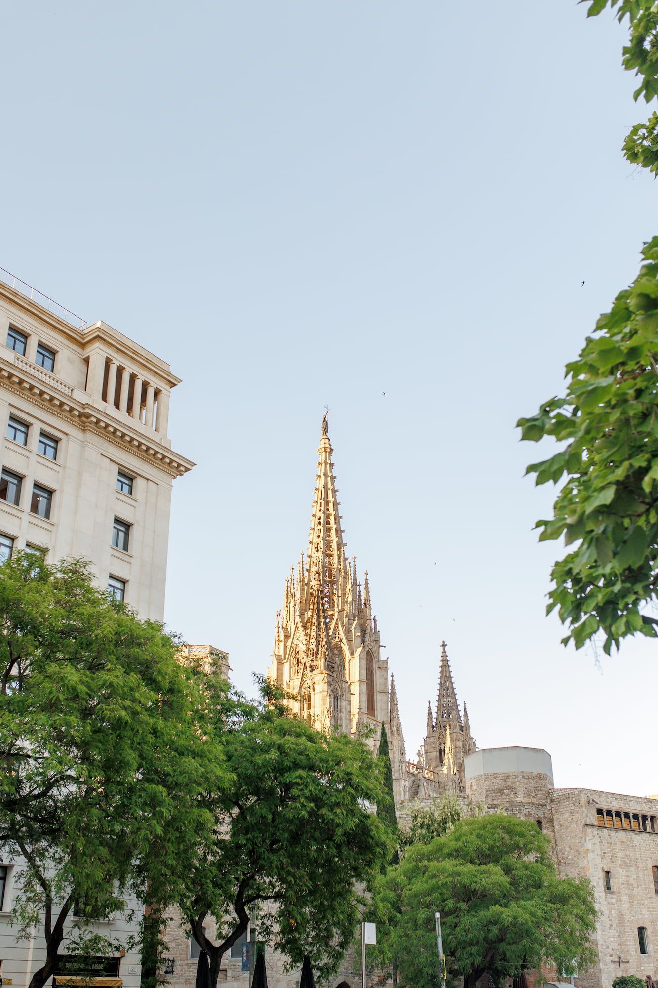 Gothic spires of Barcelona Cathedral rise above trees and buildings in the historic Gothic Quarter on a sunny day.