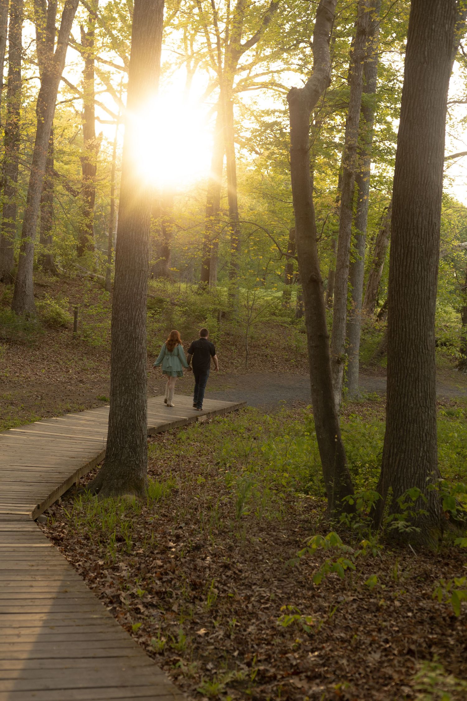 Couple holding hands walking on a wooden boardwalk path through a sunlit forest at golden hour.