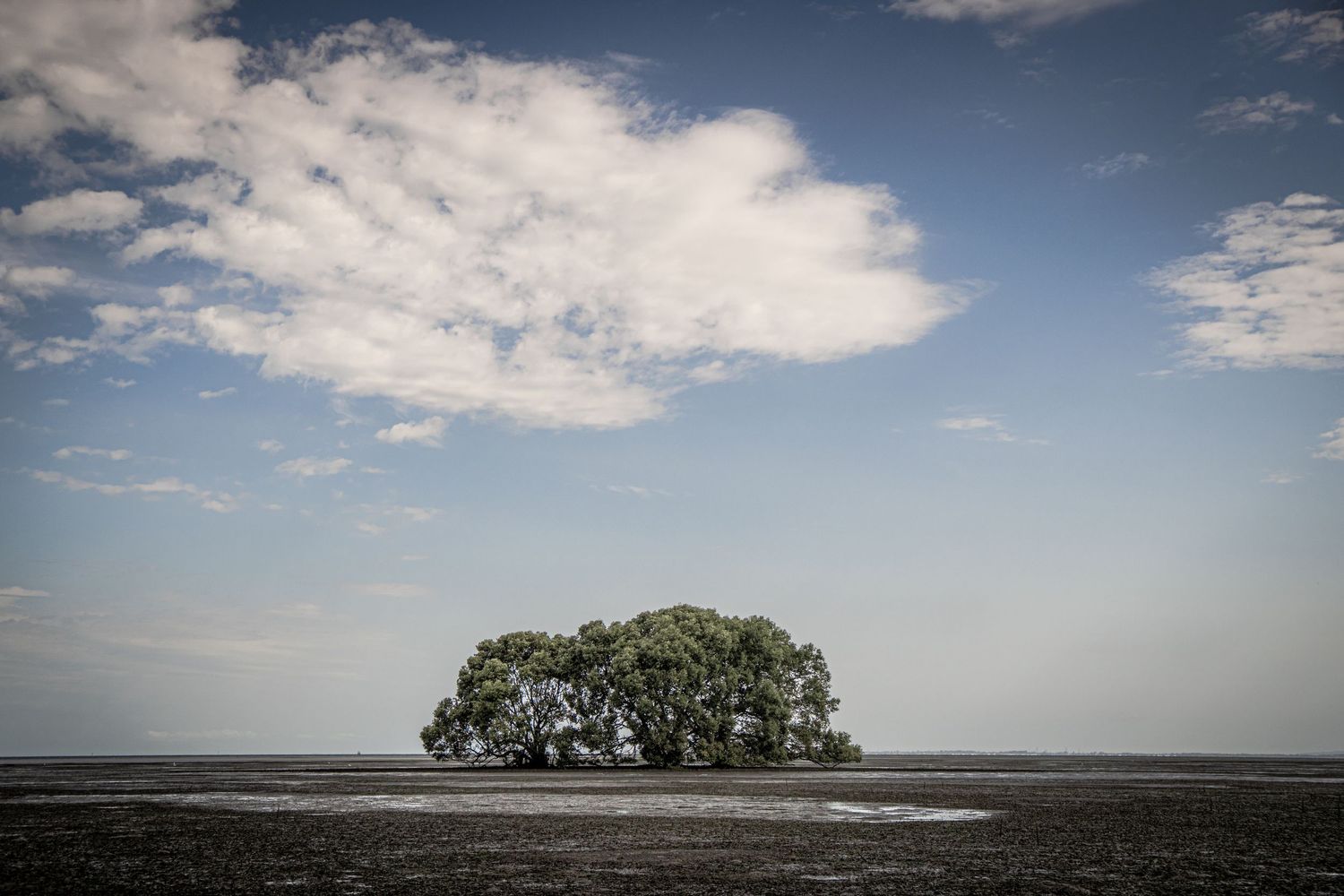 Photography, Photographer, Caboolture, Morayfield, North Brisbane, NDIS, Specialist, Fine Art