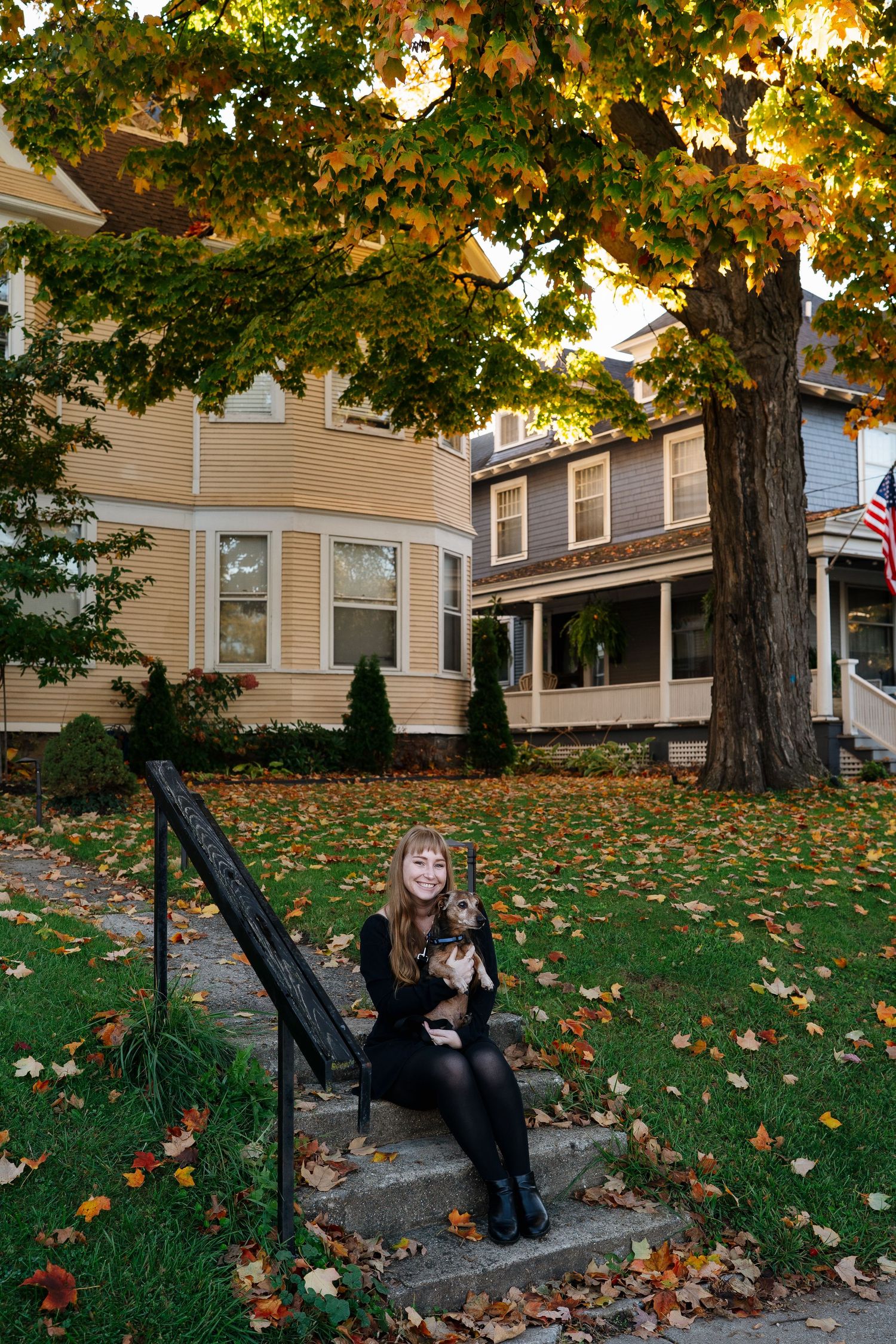 A series of autumn photos showing a small dog and companion sitting on stone steps under golden maple leaves.