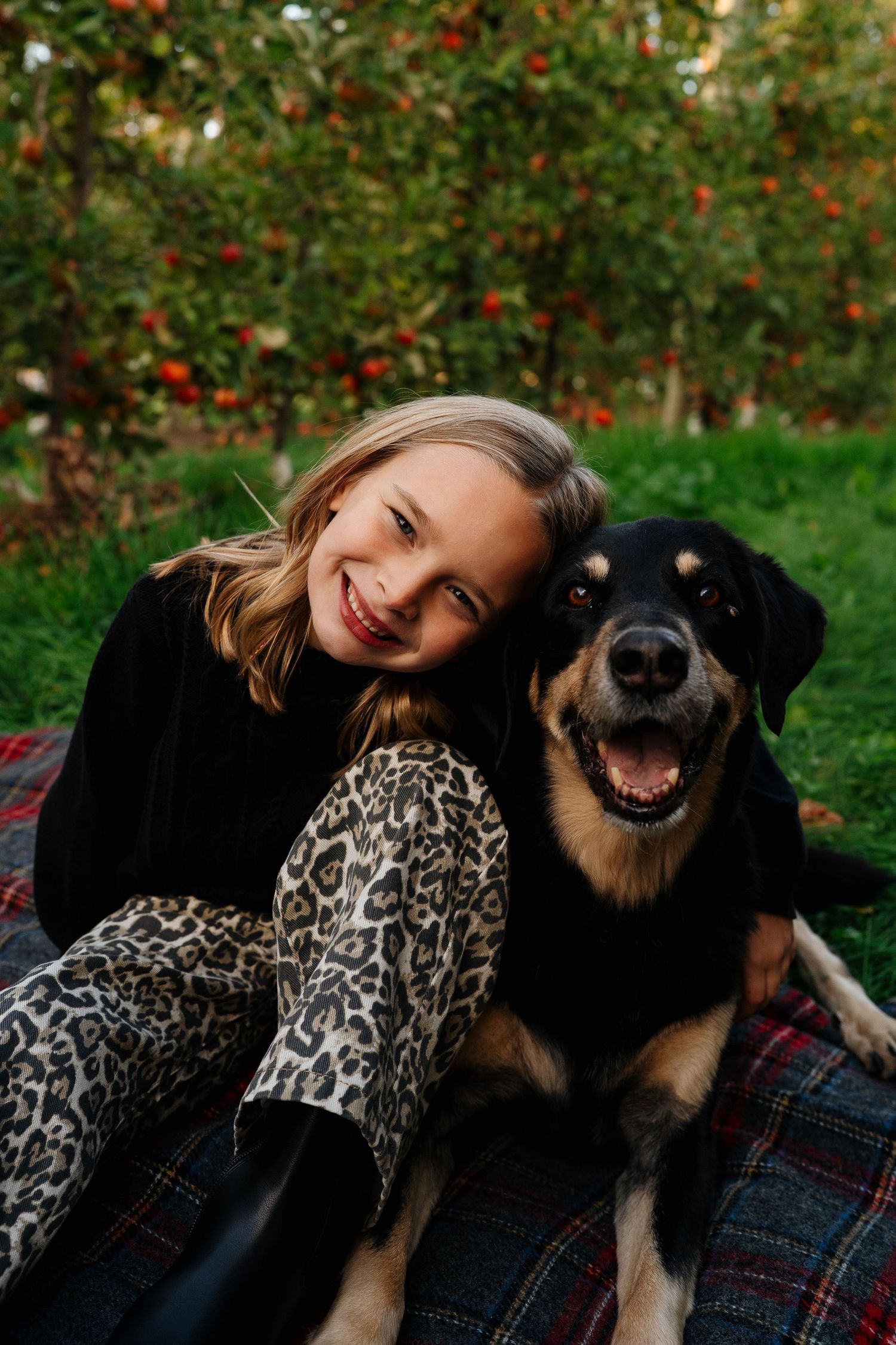 Happy dog and owner cuddling together on plaid blanket in autumn garden with red berries.