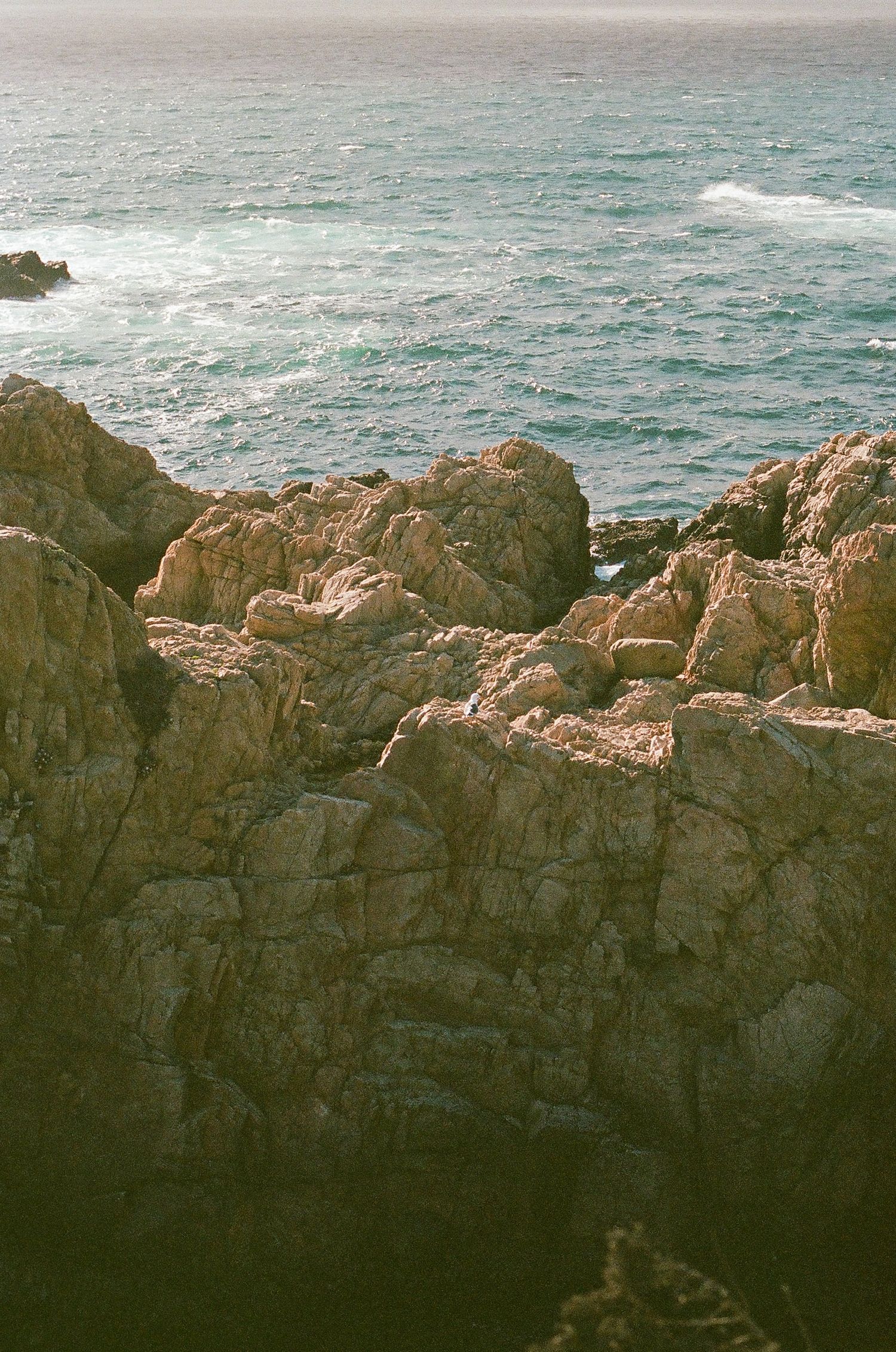 Dramatic rocky coastline with waves crashing against rugged cliffs in warm evening light.