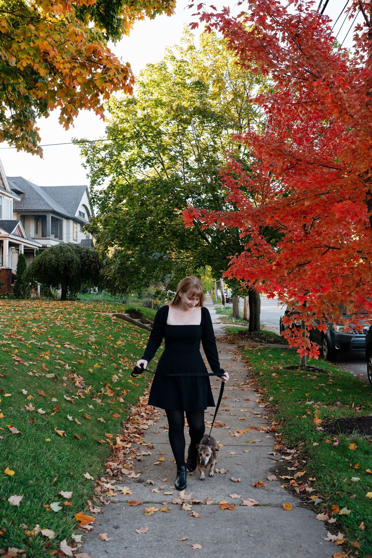 Walking scene along tree-lined street with vibrant red and orange fall foliage.