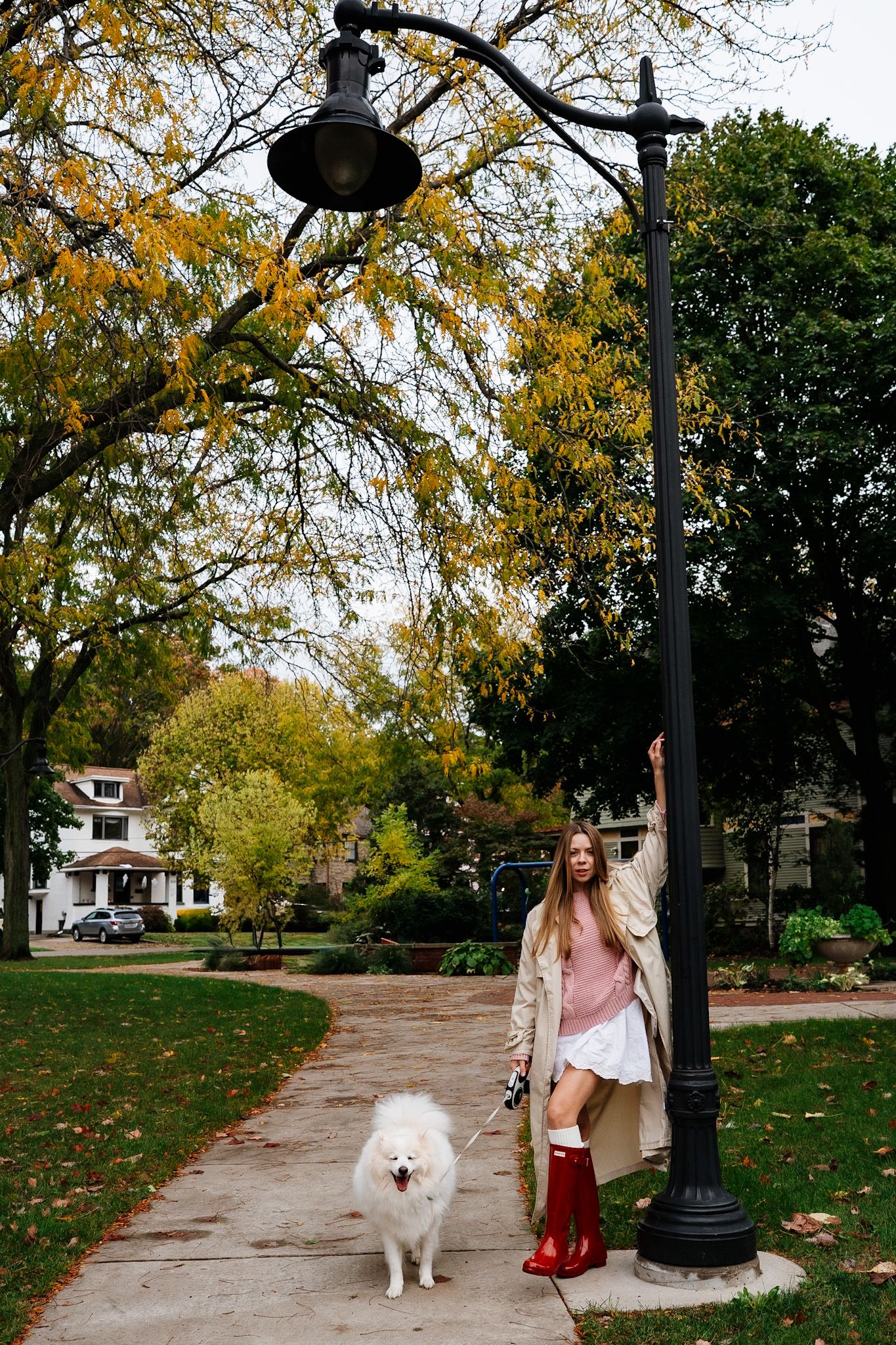 Person walks white fluffy dog past vintage lamp post on tree-lined autumn street.