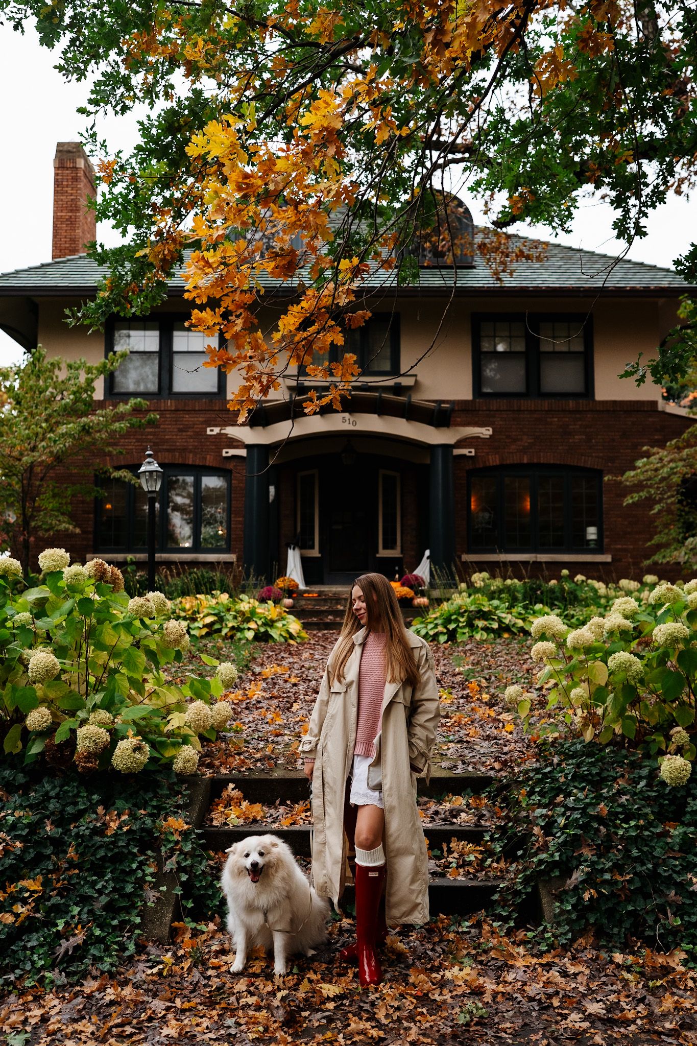White fluffy dog and autumn fashion photography against landscaped garden with fall colors.