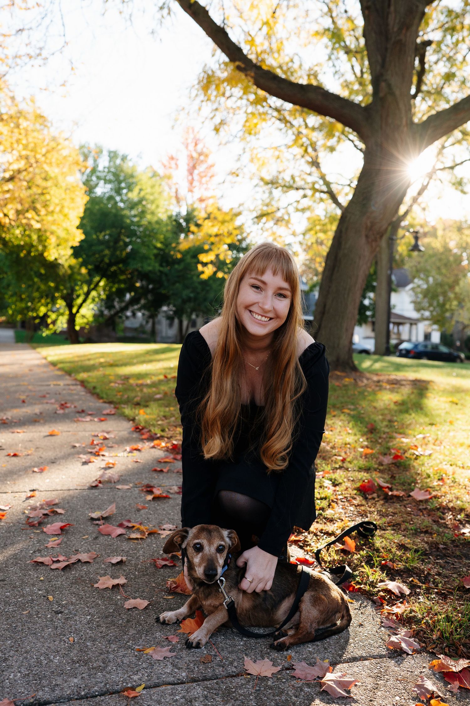 A playful photo sequence with a small brown dog and companion on a leaf-covered sidewalk in autumn.
