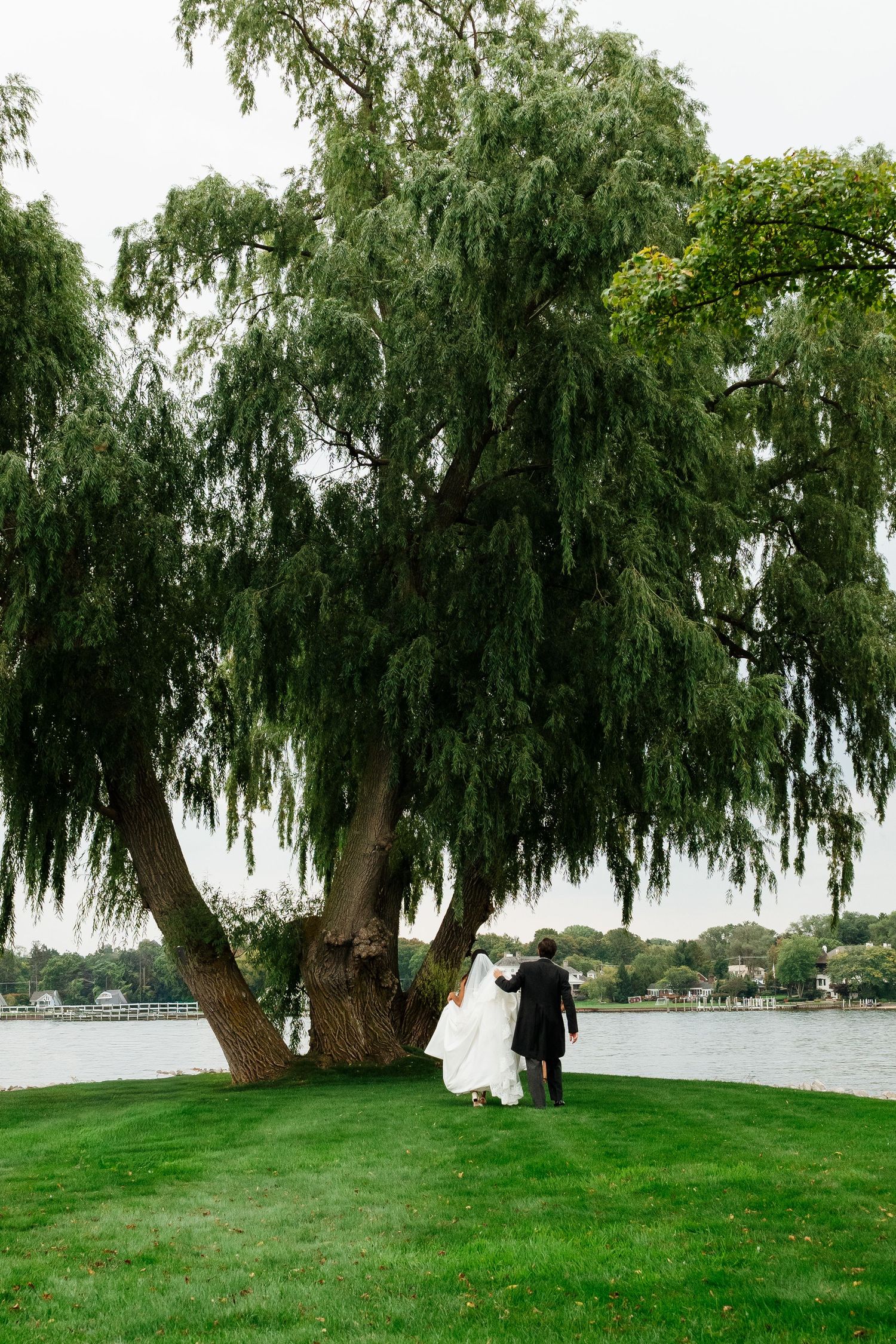 Weeping willow tree overlooking a serene lakeside wedding setting.