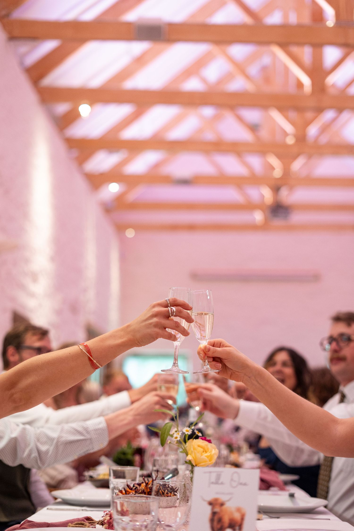 Wedding guests toasting to the newly married couple at Trerice National Trust