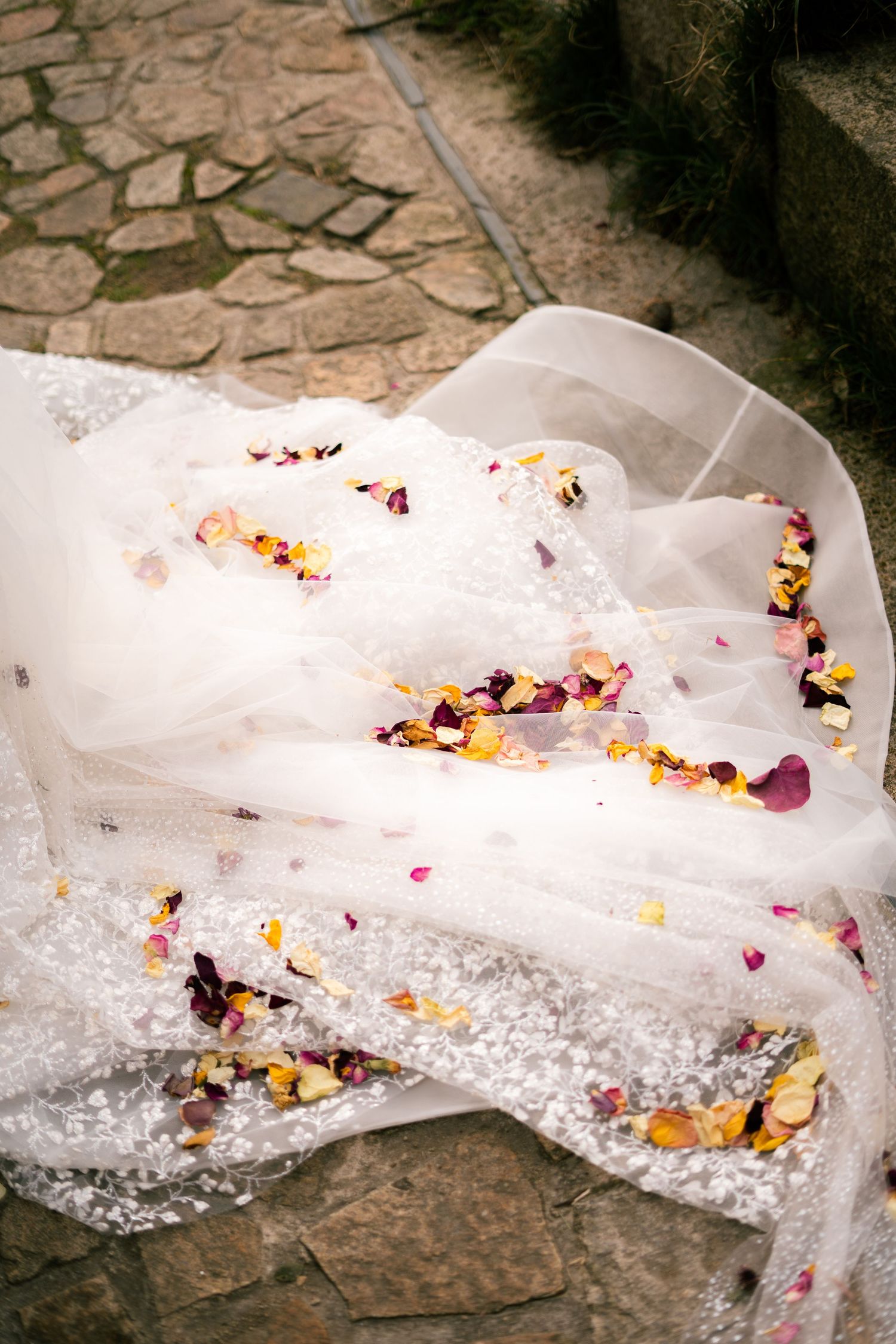 Candid photo of confetti on the bride's dress during a wedding in Penzance, Cornwall