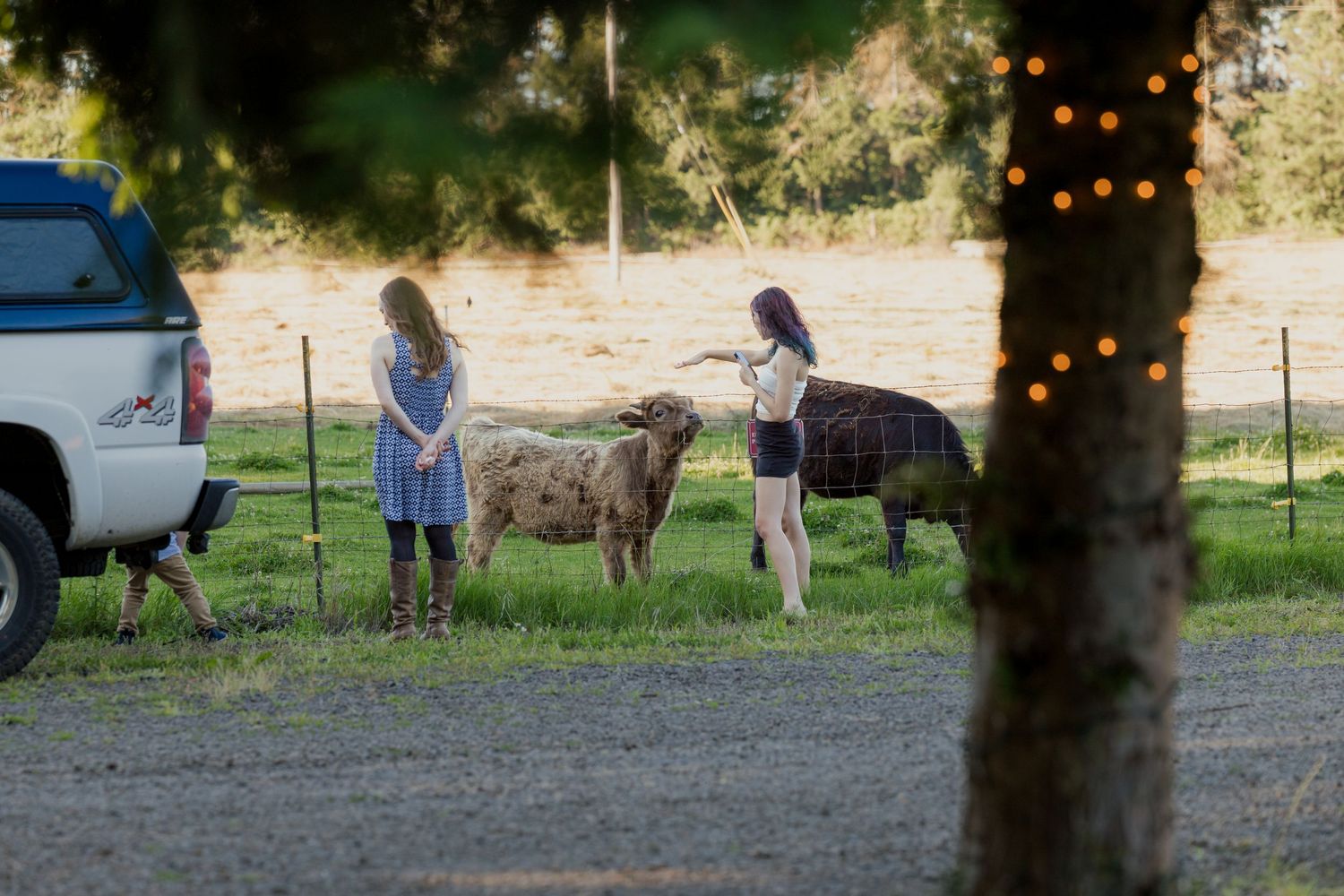 Two girls feeding sheep and pig near a fence on a farm at dusk.