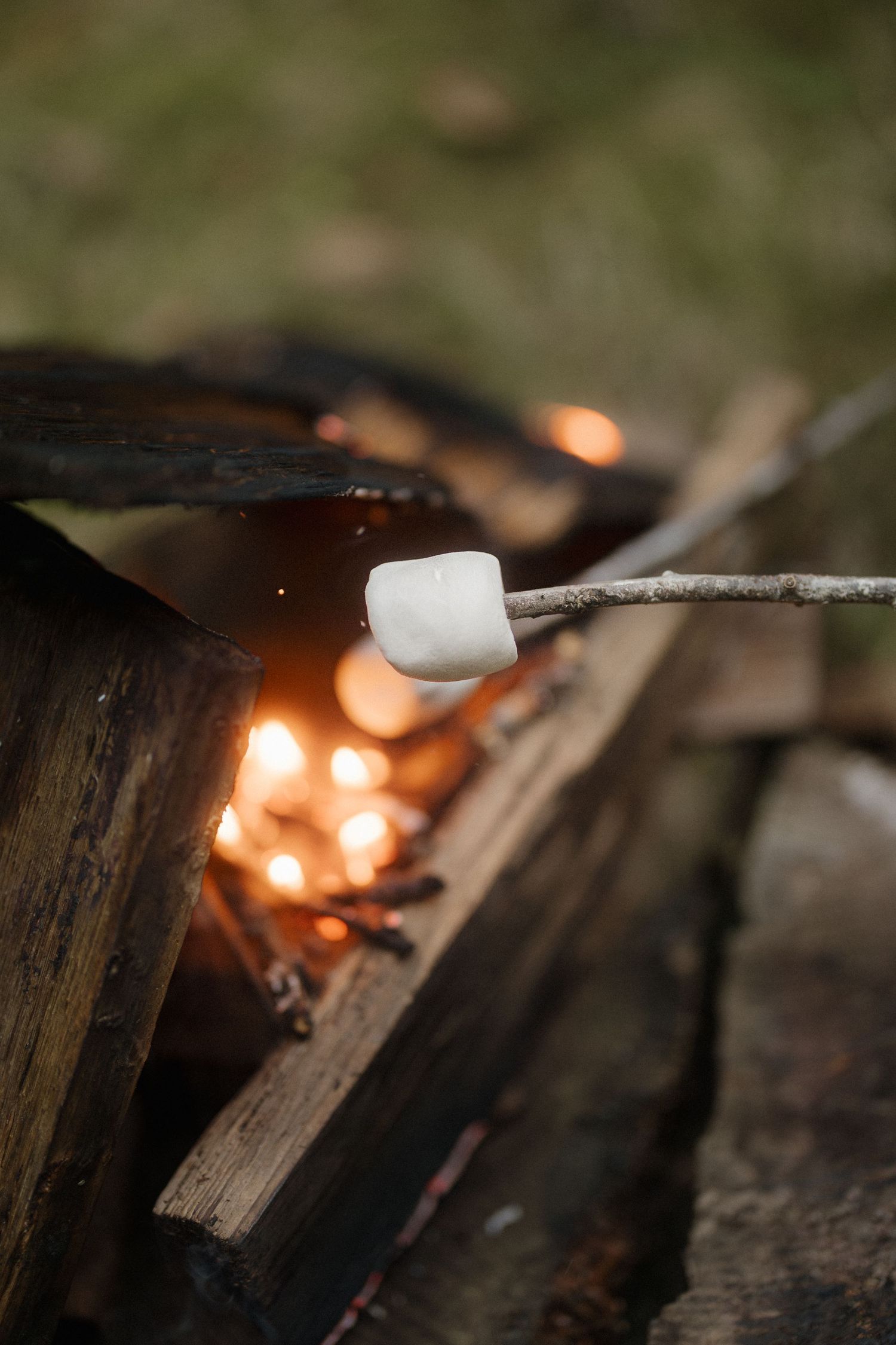 Close-up shot of a marshmallow roasting over glowing embers with bokeh lights in the background.