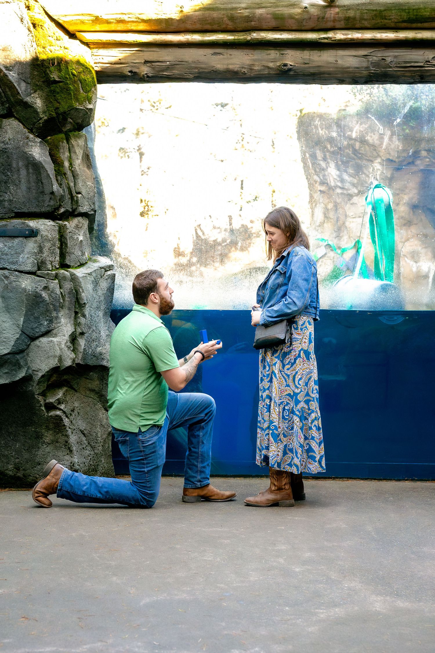 A surprise proposal moment captured at an aquarium exhibit with decorative lights.