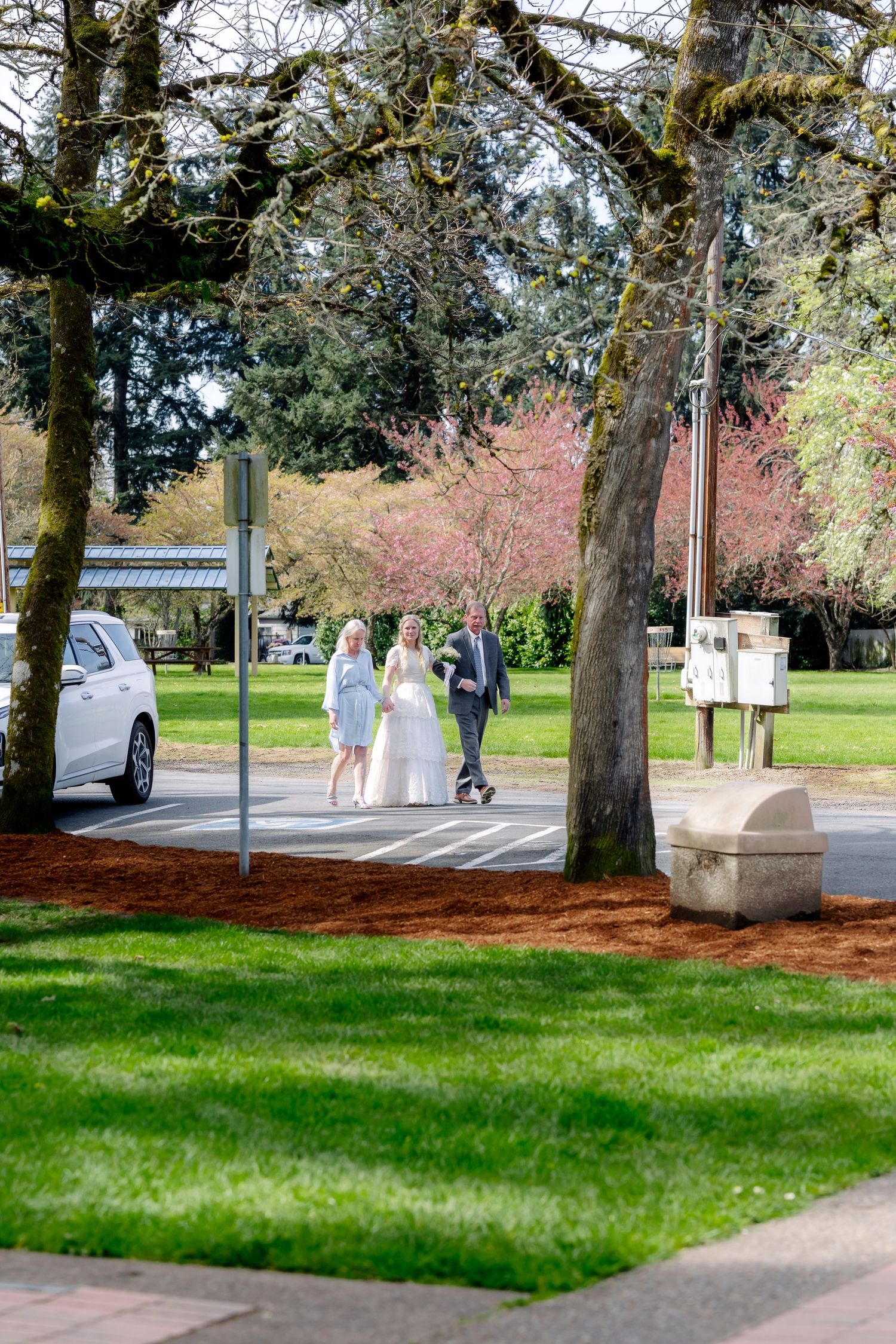 Bride in white gown walks with guests through a scenic park with cherry blossoms and green lawns on a spring day.