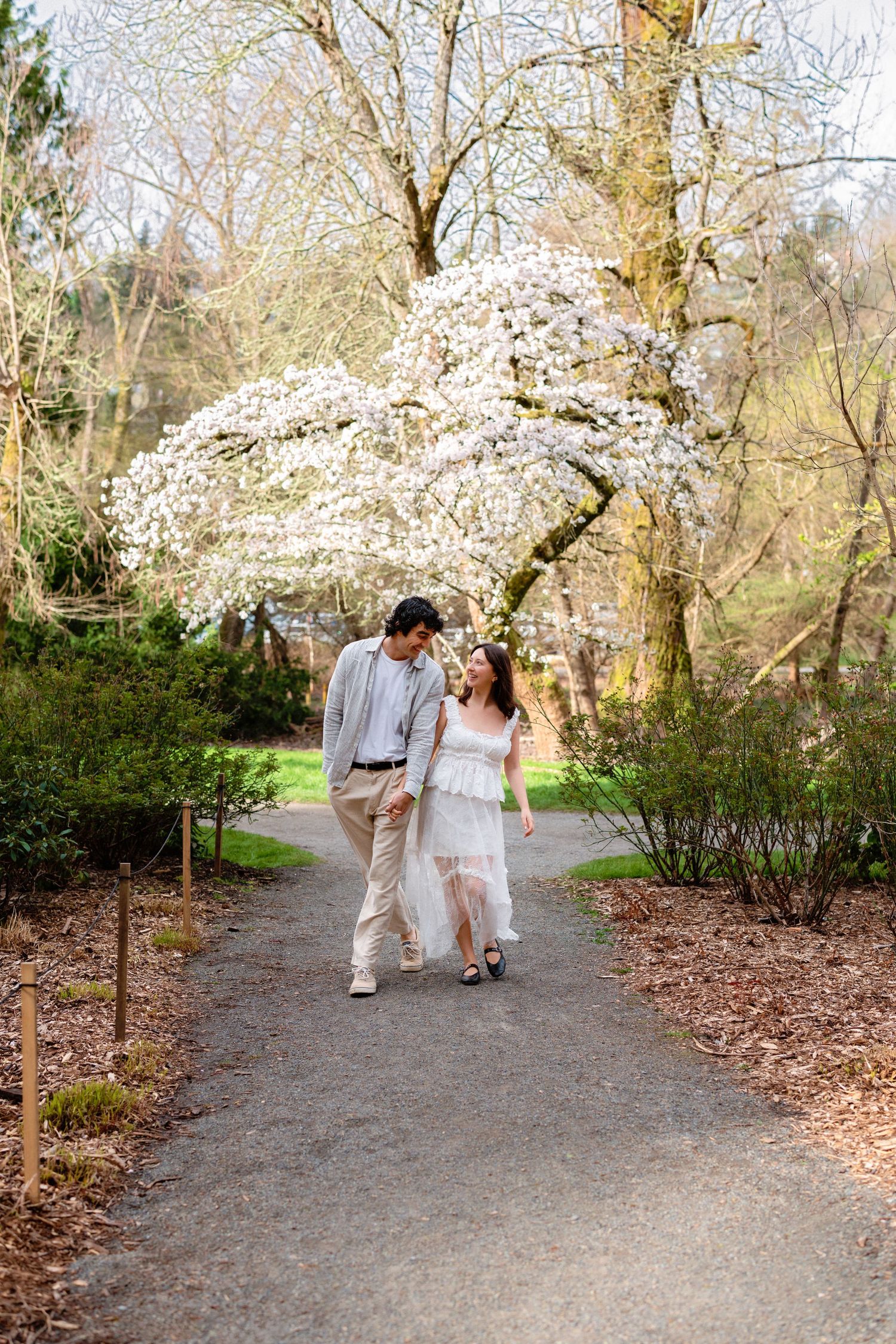 A couple strolls hand in hand along a winding path beneath beautiful cherry blossom trees.