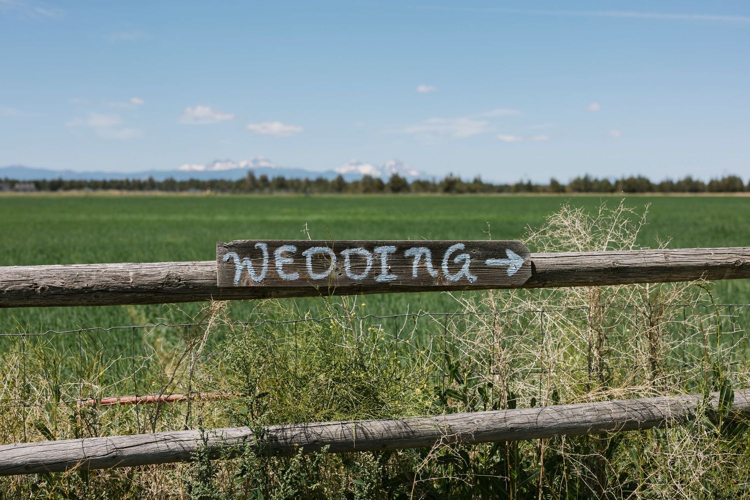 Series of panoramic views of a grassy field with mountains in the background and rustic wooden fence posts.