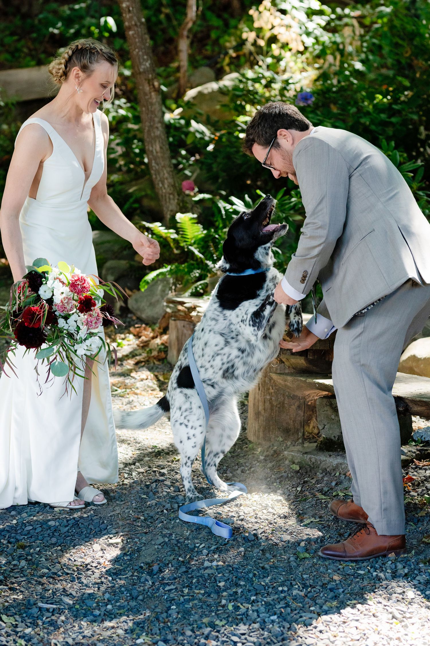 Smiling bride and groom interact playfully with their black and white spotted dog at outdoor wedding.