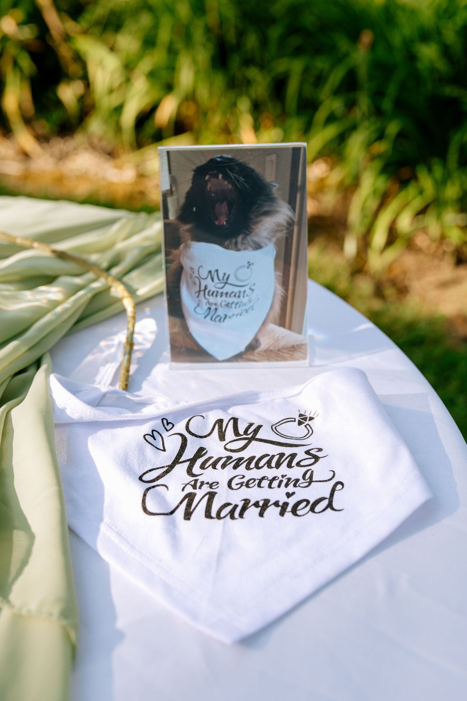 Dog bandana reading My Humans Are Getting Married displayed with pet photo at outdoor wedding.