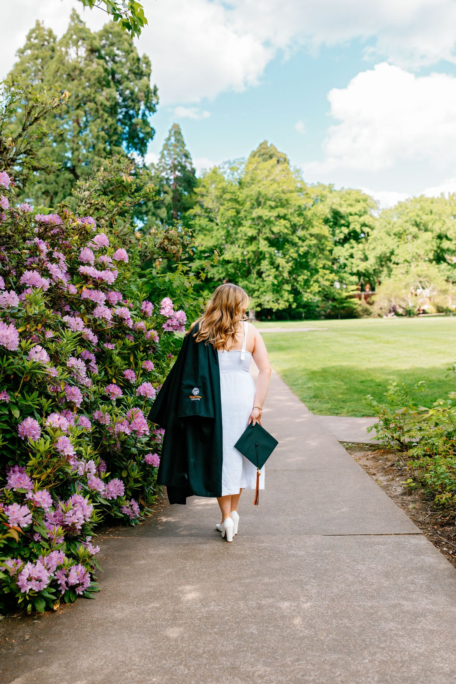 Graduate in white dress and black cap and gown walks along garden path beside blooming pink rhododendrons.