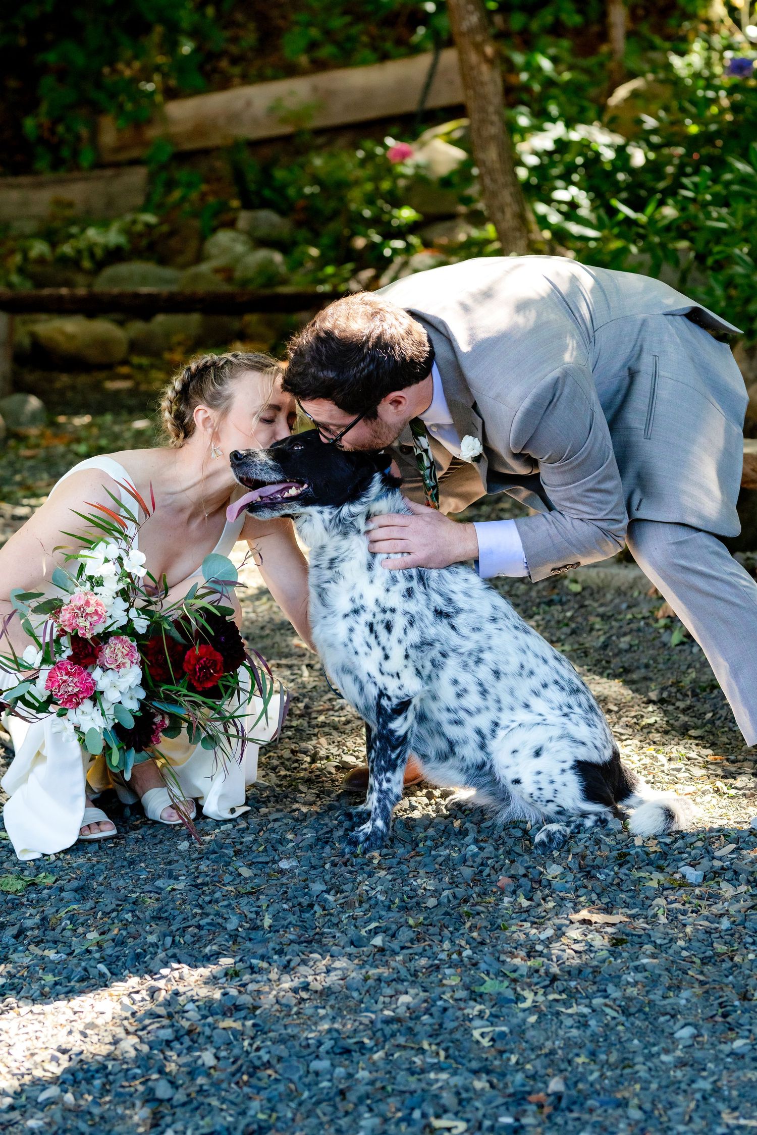 Bride and groom in wedding attire kissing their black and white spotted dog outdoors near a wooden fence.