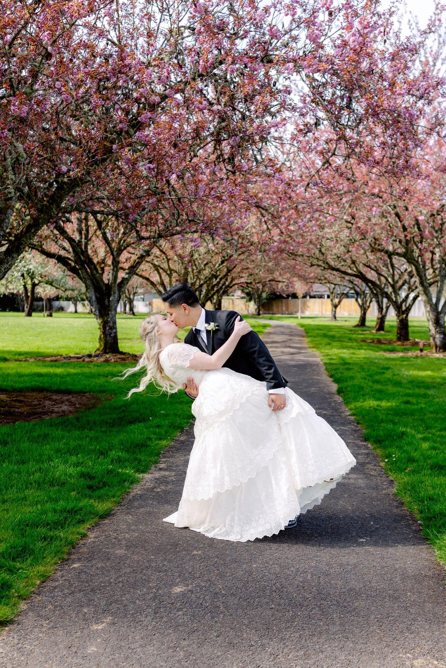 A groom dips his bride dramatically on a tree-lined path surrounded by blooming pink cherry blossom trees.