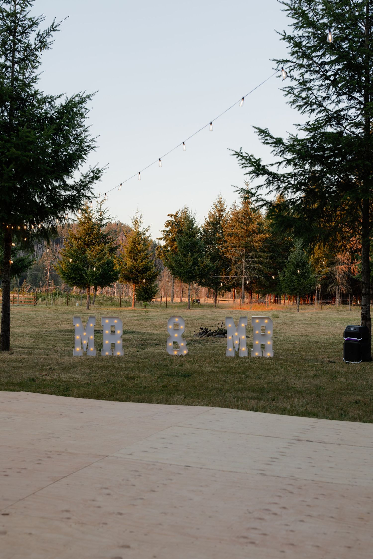 Illuminated Mr & Mr marquee letters on grass at twilight wedding reception with string lights.
