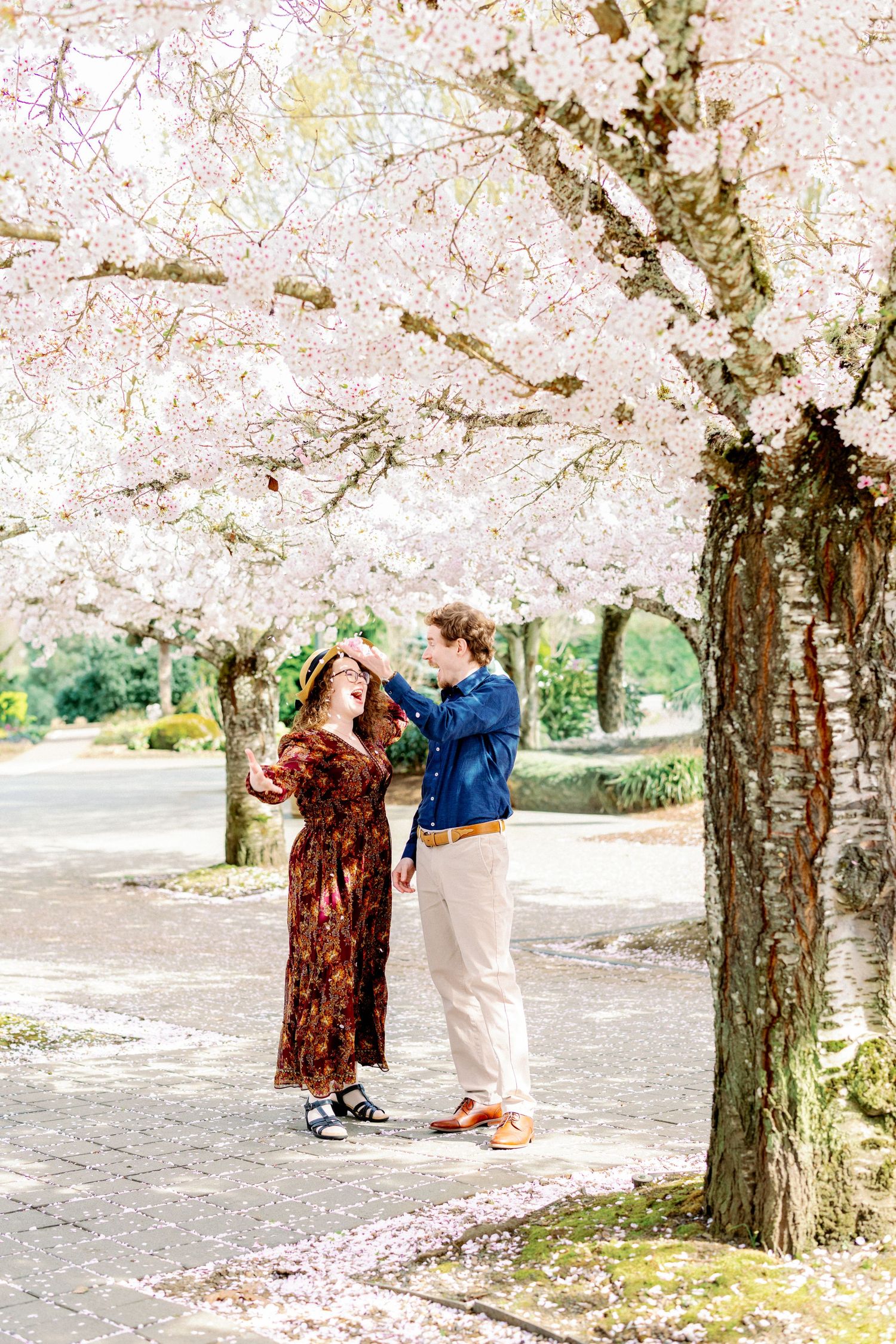 A couple shares a romantic moment under blooming cherry blossom trees on a spring path.