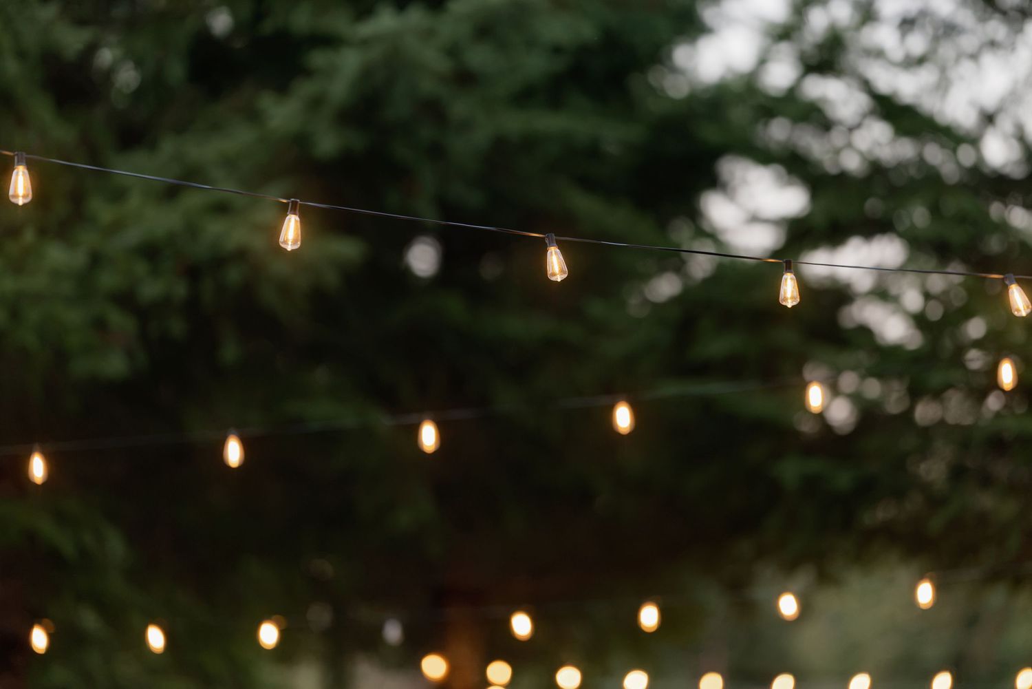 Warm glowing string lights hanging against lush green trees at an outdoor evening wedding reception.