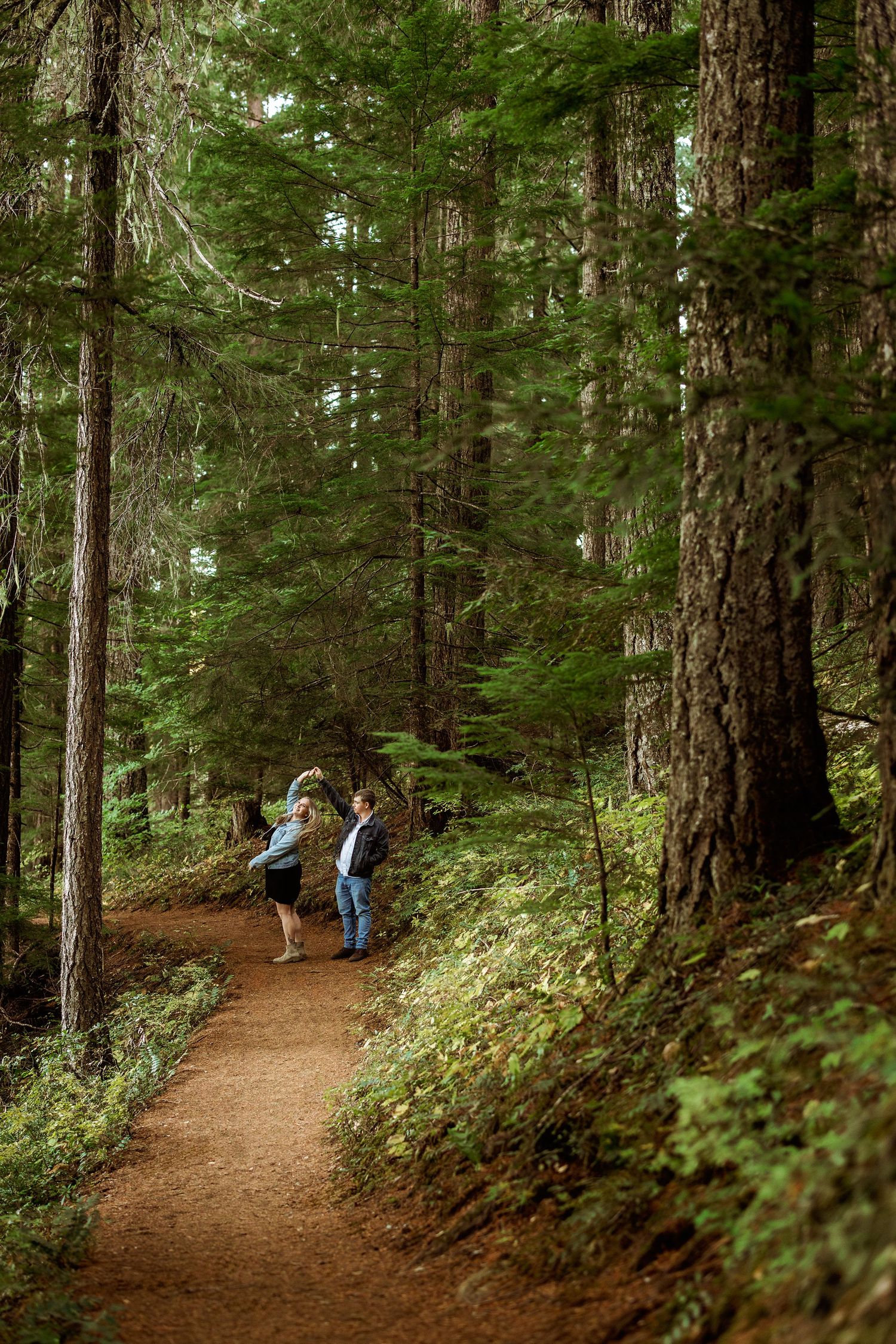 Hikers walk along a winding dirt trail through a lush evergreen forest on a sunny afternoon.