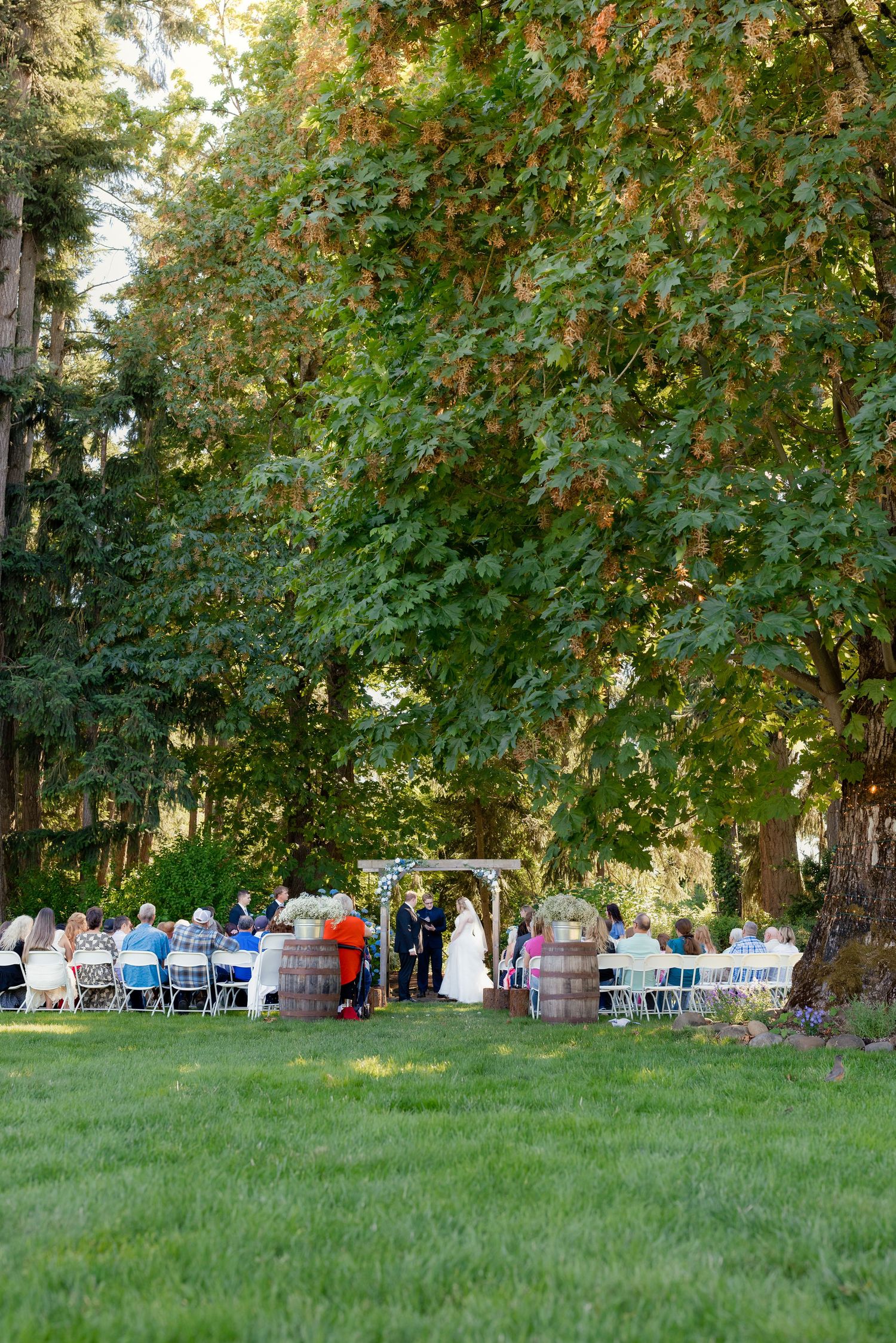 Outdoor wedding ceremony under large trees with guests seated on white chairs.