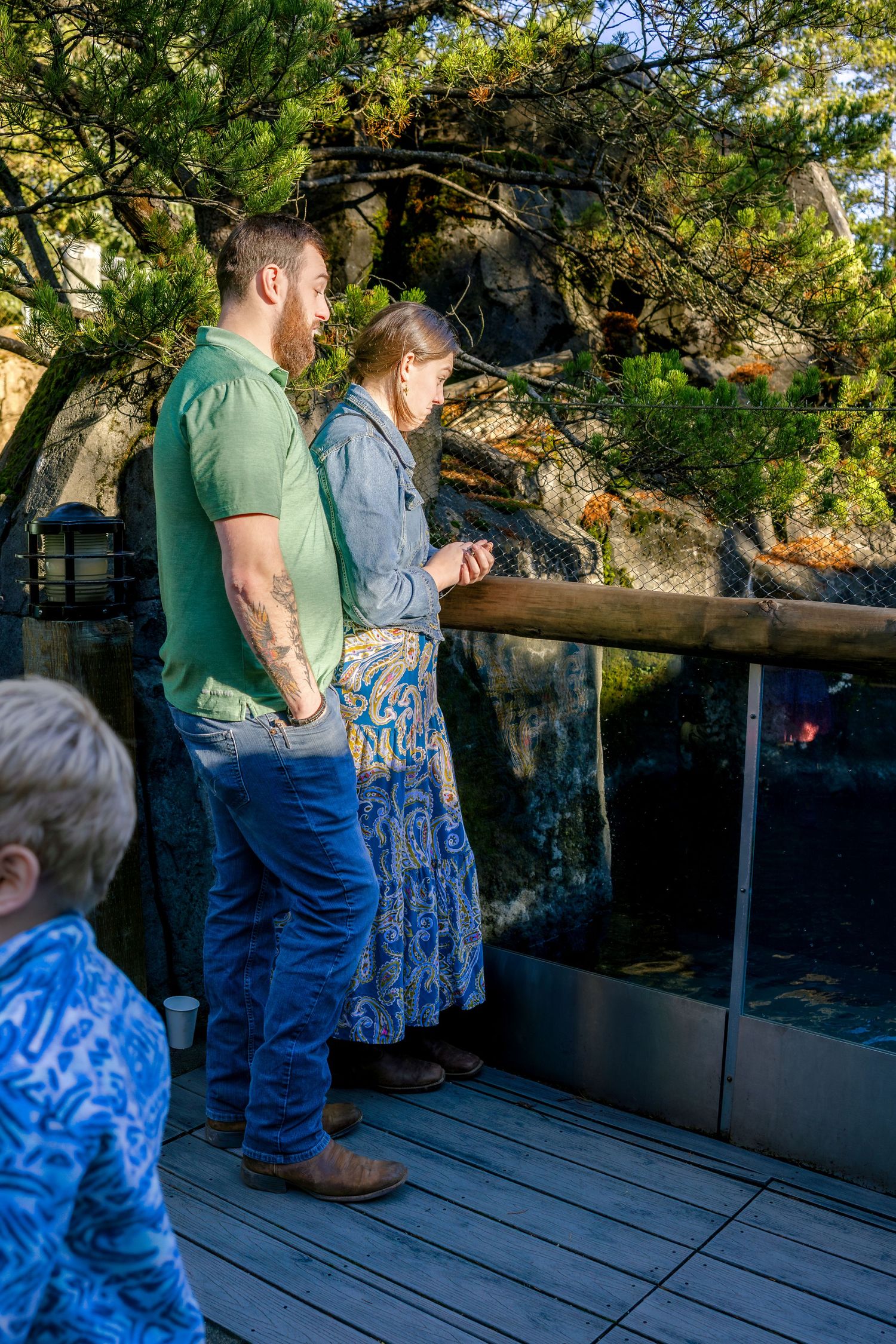 Visitors observe an aquarium exhibit from a wooden viewing deck.