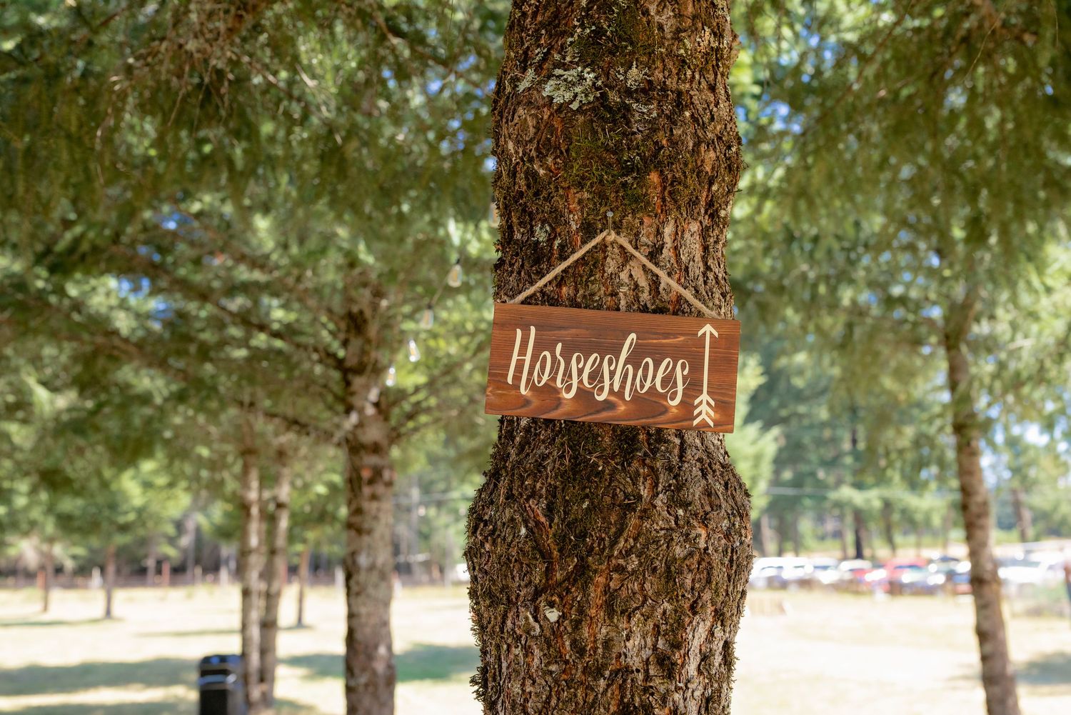 Rustic wooden horseshoes sign nailed to a pine tree at an outdoor wedding venue.