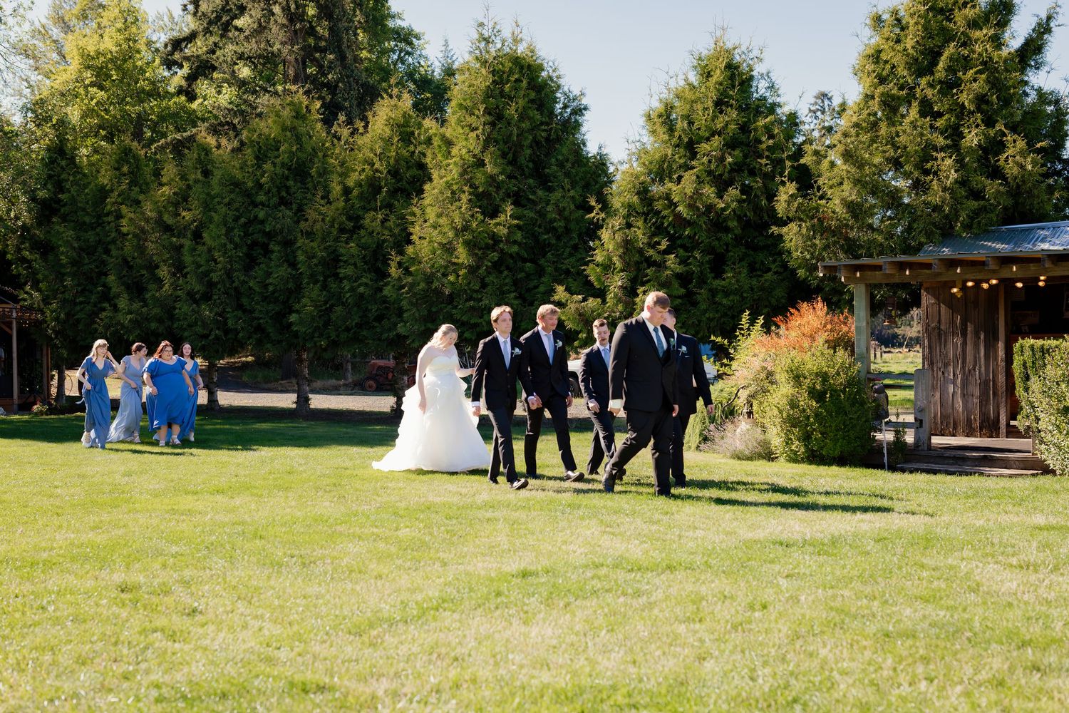 Wedding party walking across a sunny green lawn toward an outdoor ceremony venue with tall trees.