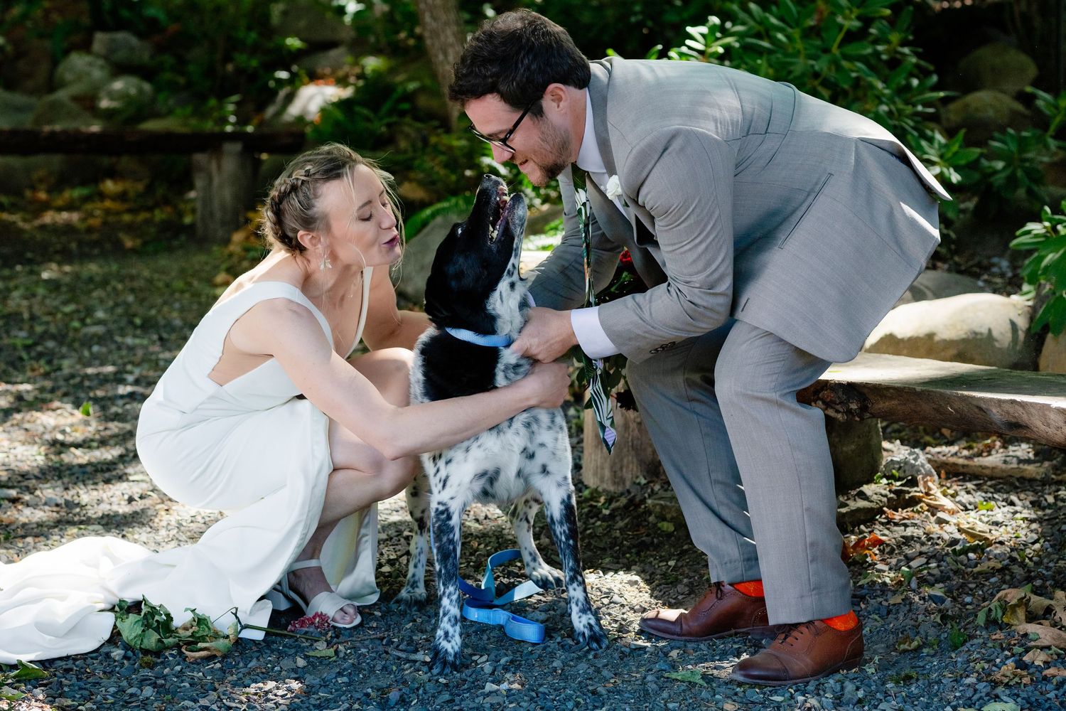Bride and groom petting their spotted dog during outdoor wedding ceremony in garden setting.