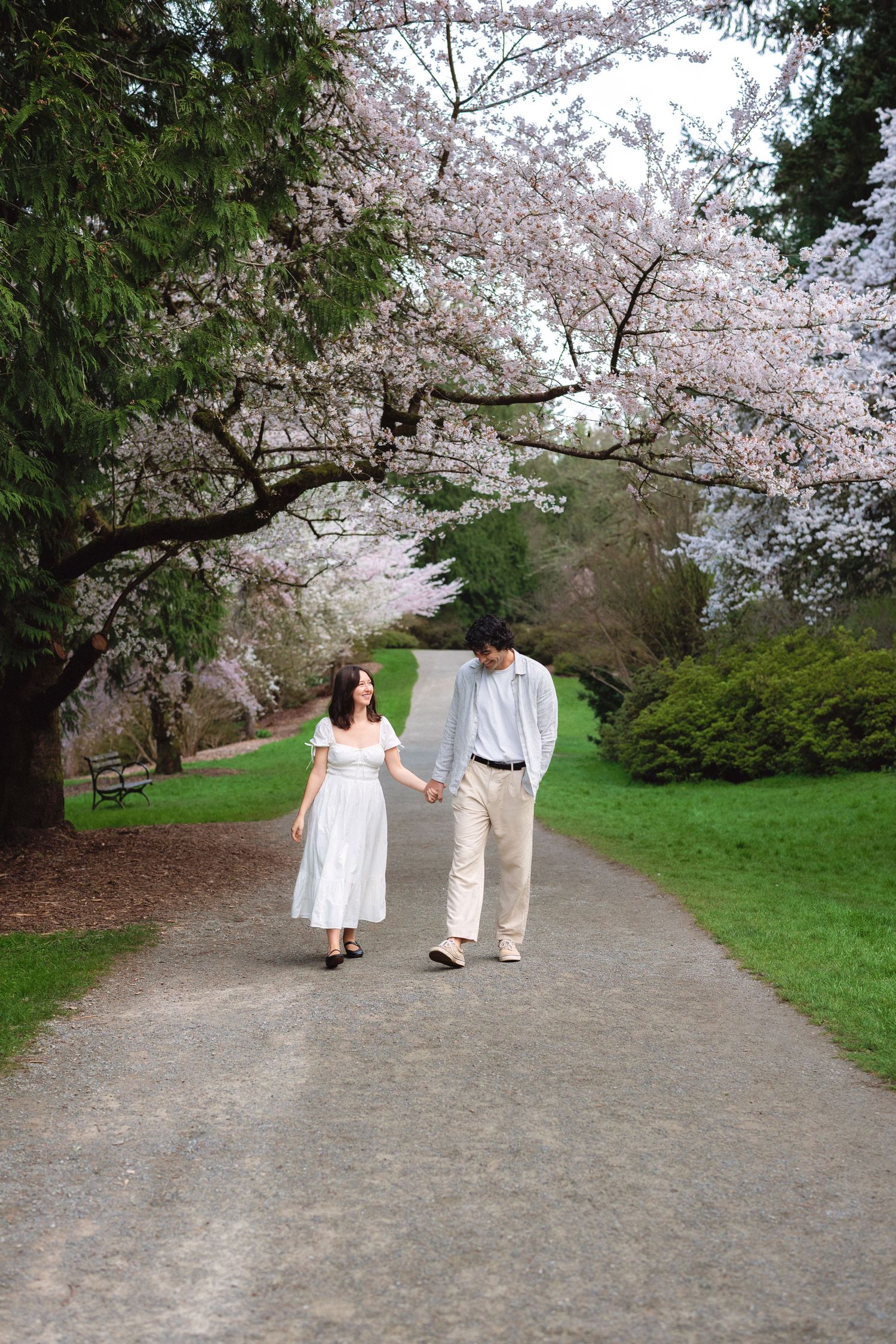 A couple walks hand in hand down a cherry blossom-lined path in a peaceful spring garden setting.