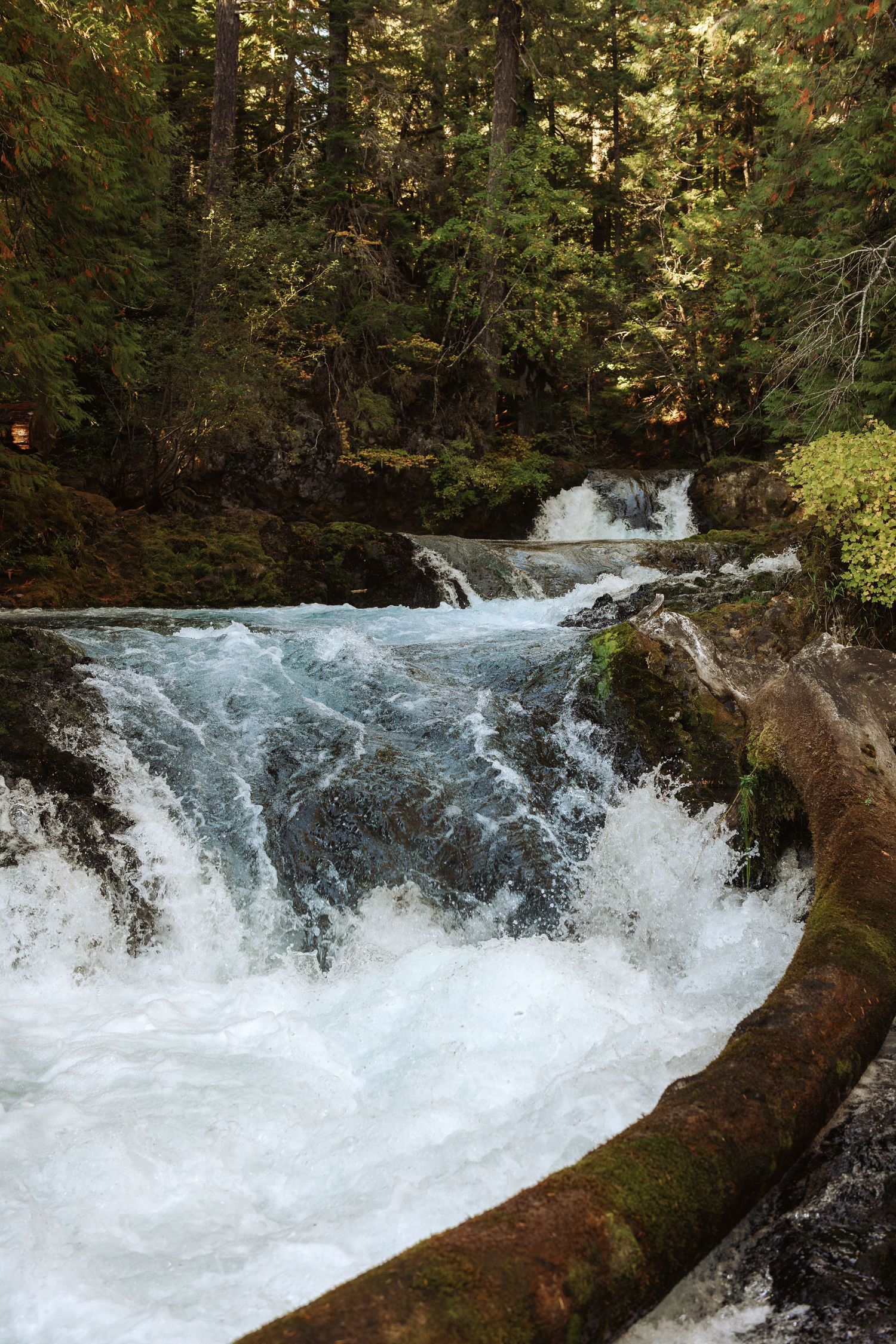 Rushing white water cascades over rocks in a forest stream creating a powerful waterfall effect.