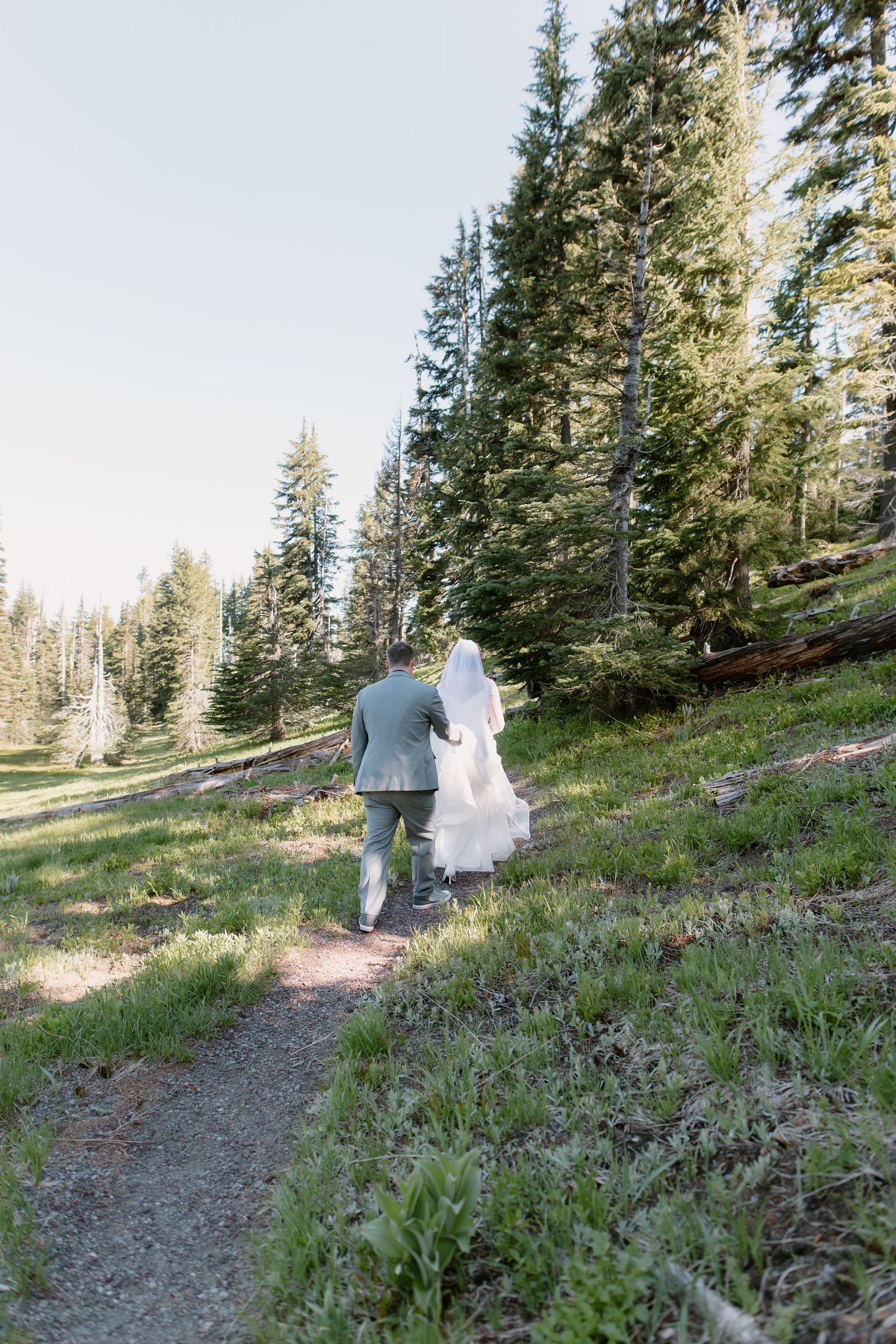 Bride and groom walking hand in hand along a mountain trail surrounded by tall pine trees.