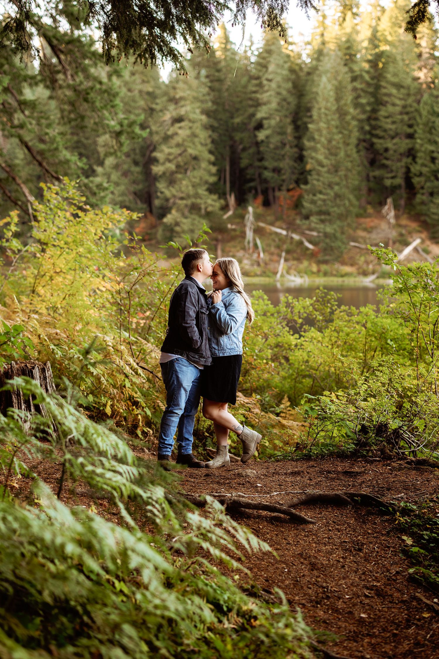 Intimate forest photoshoot with couple sitting among ferns and pine trees.